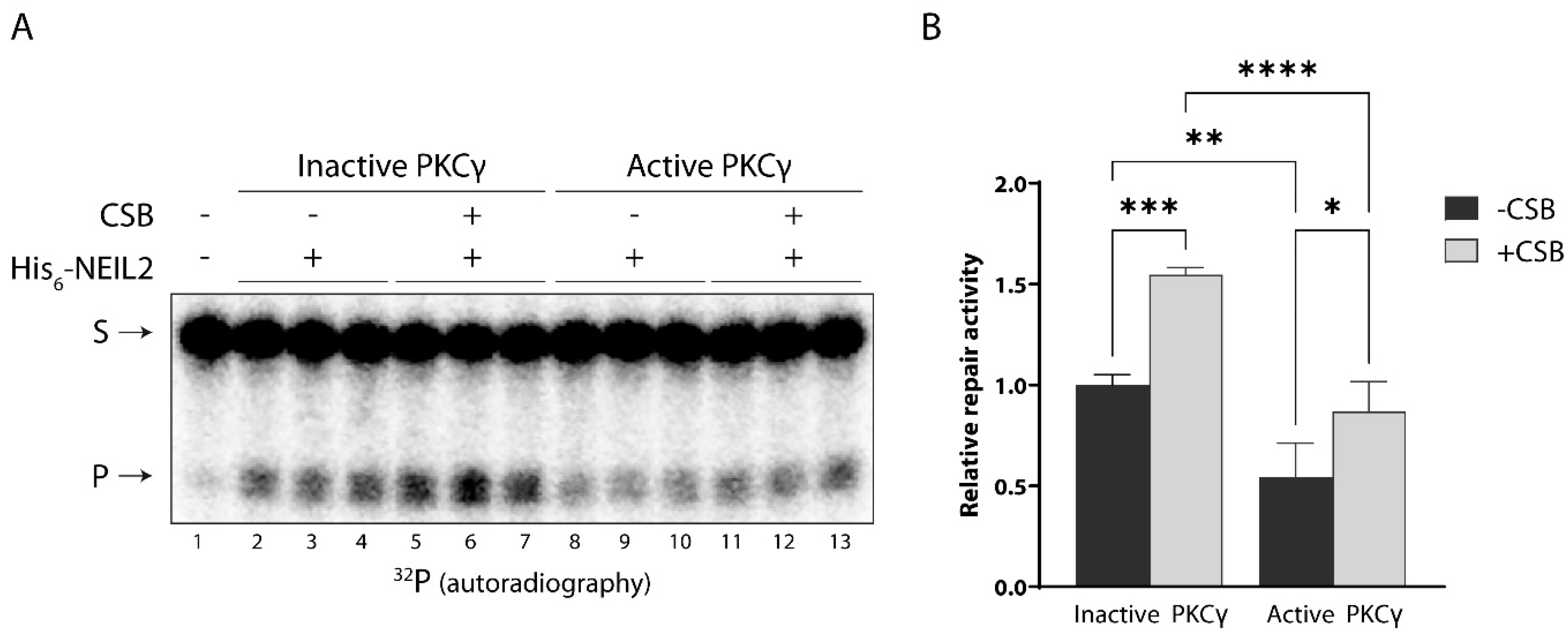 Antioxidants 12 00355 g003