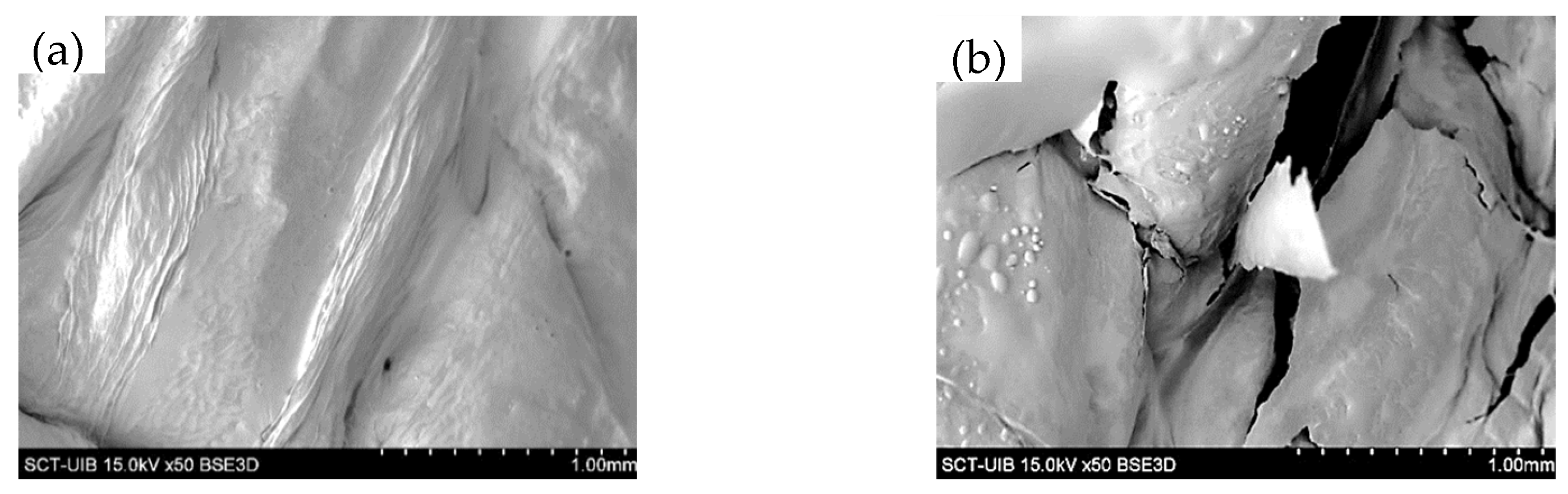 Antioxidants 12 00356 g002