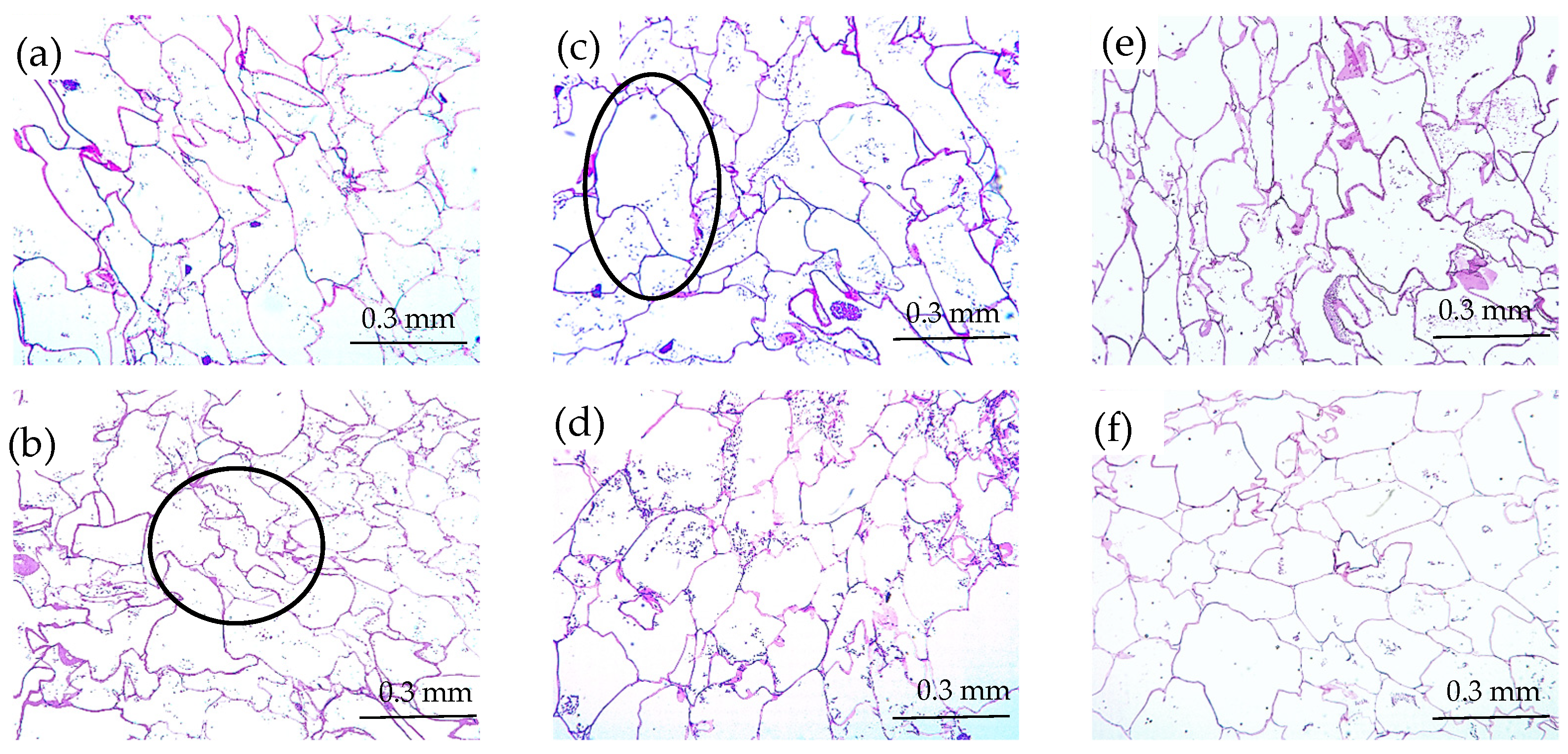Antioxidants 12 00356 g003