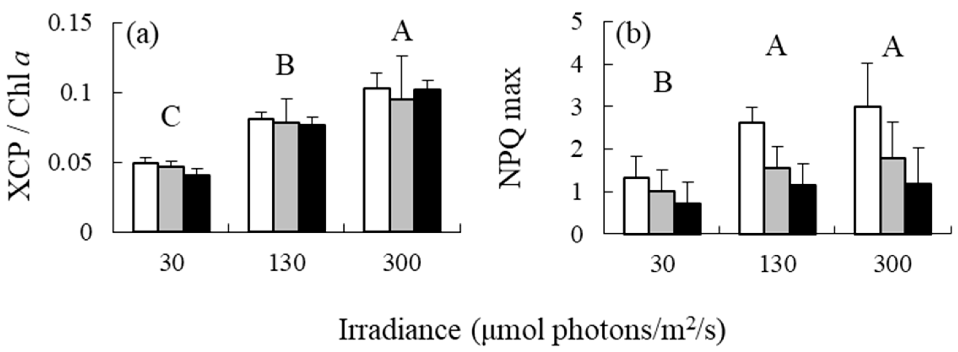 Antioxidants 12 00357 g004