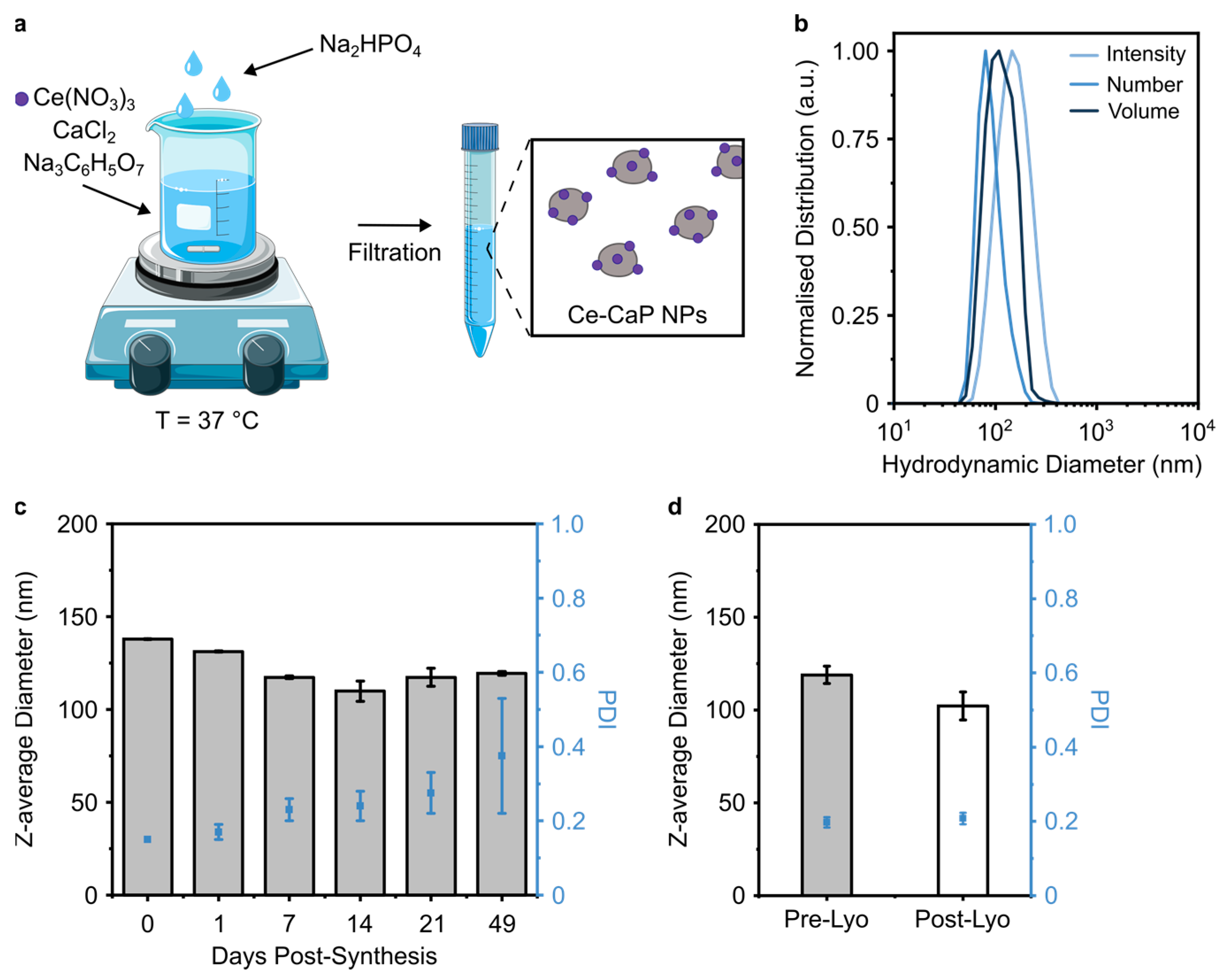 Antioxidants 12 00358 g001