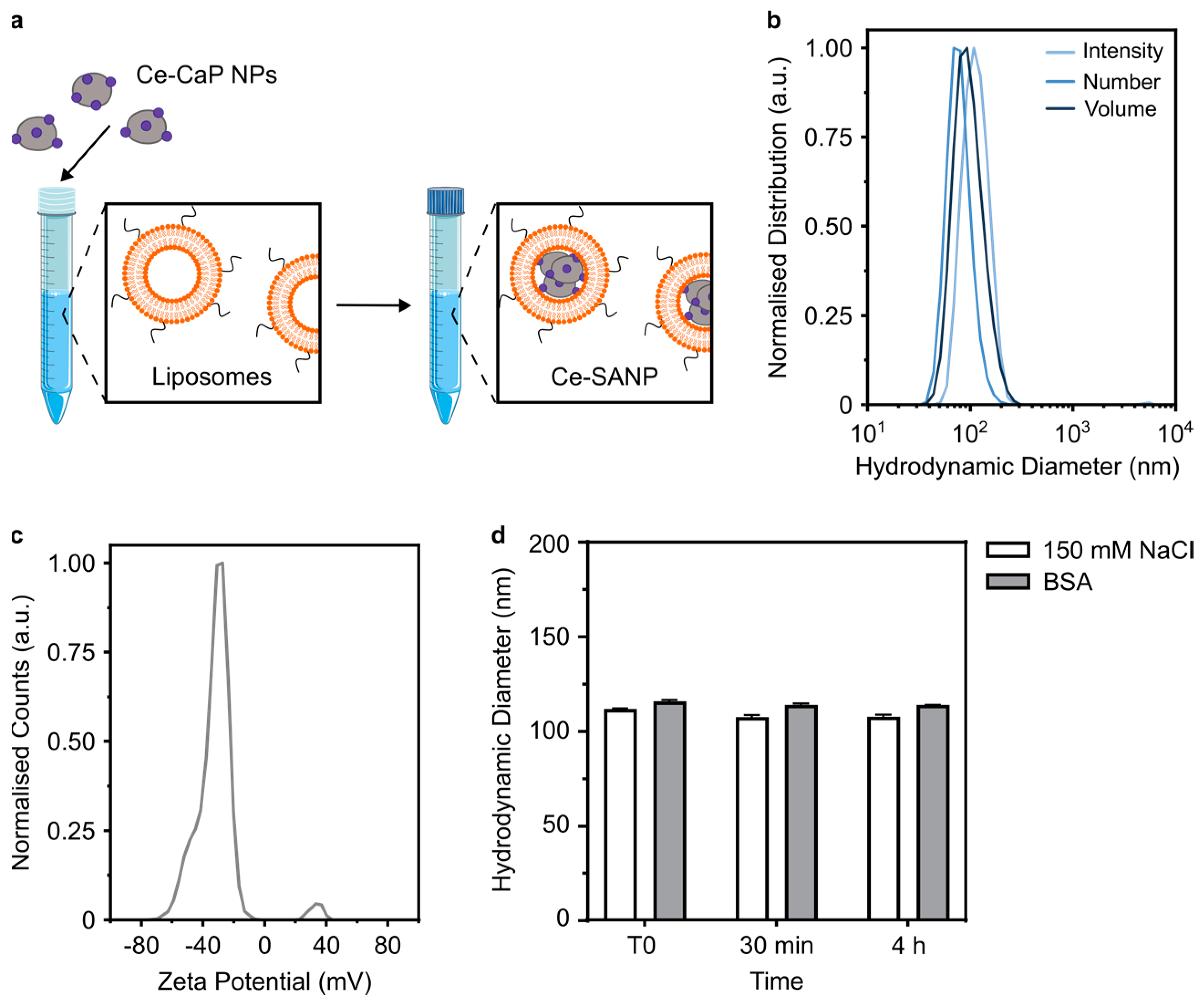 Antioxidants 12 00358 g005