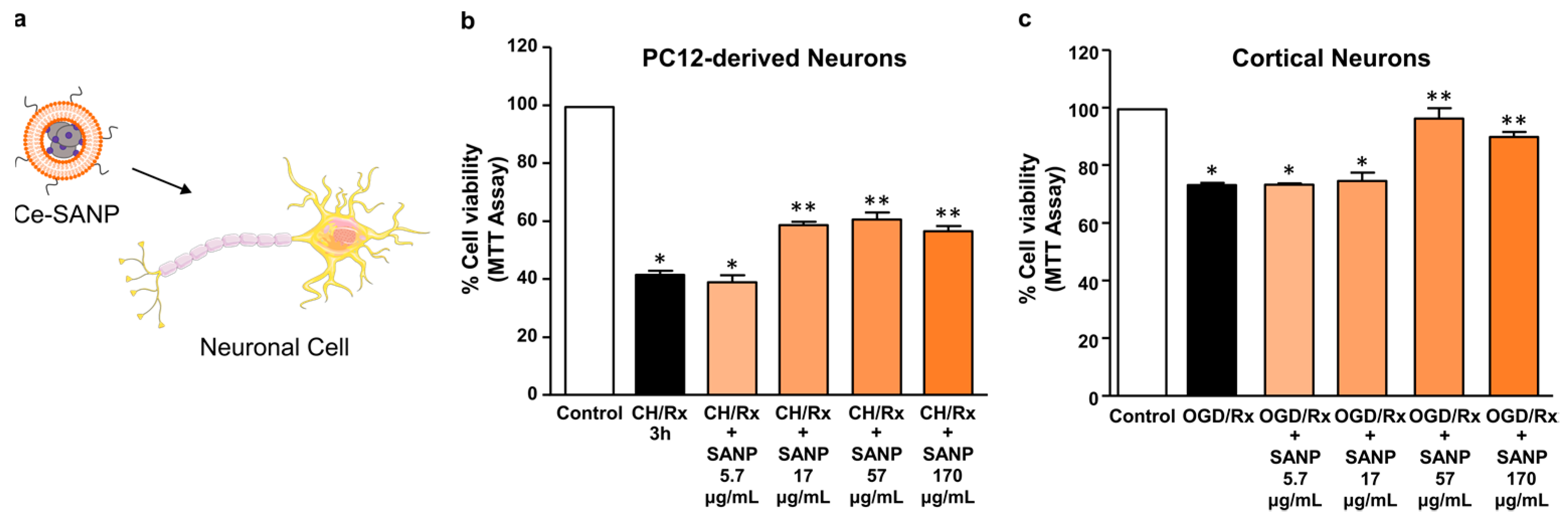 Antioxidants 12 00358 g007