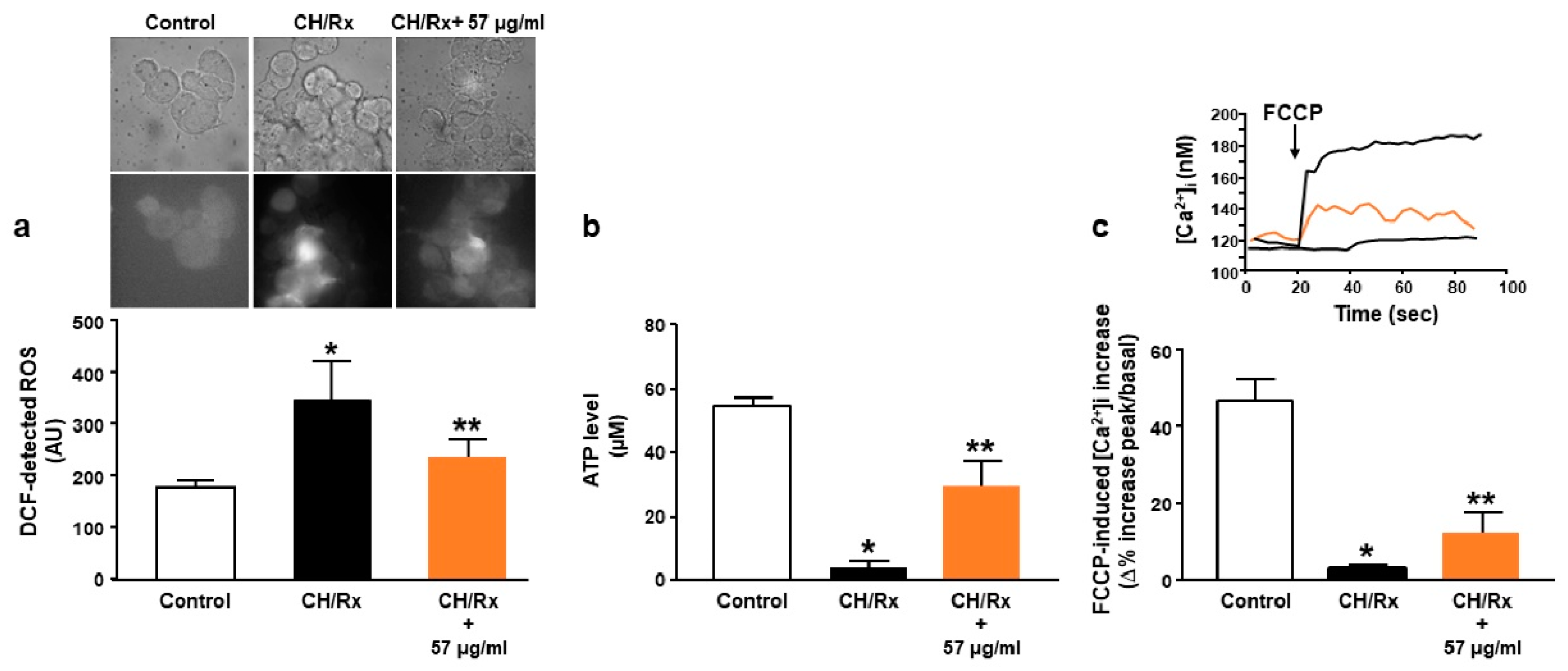 Antioxidants 12 00358 g008