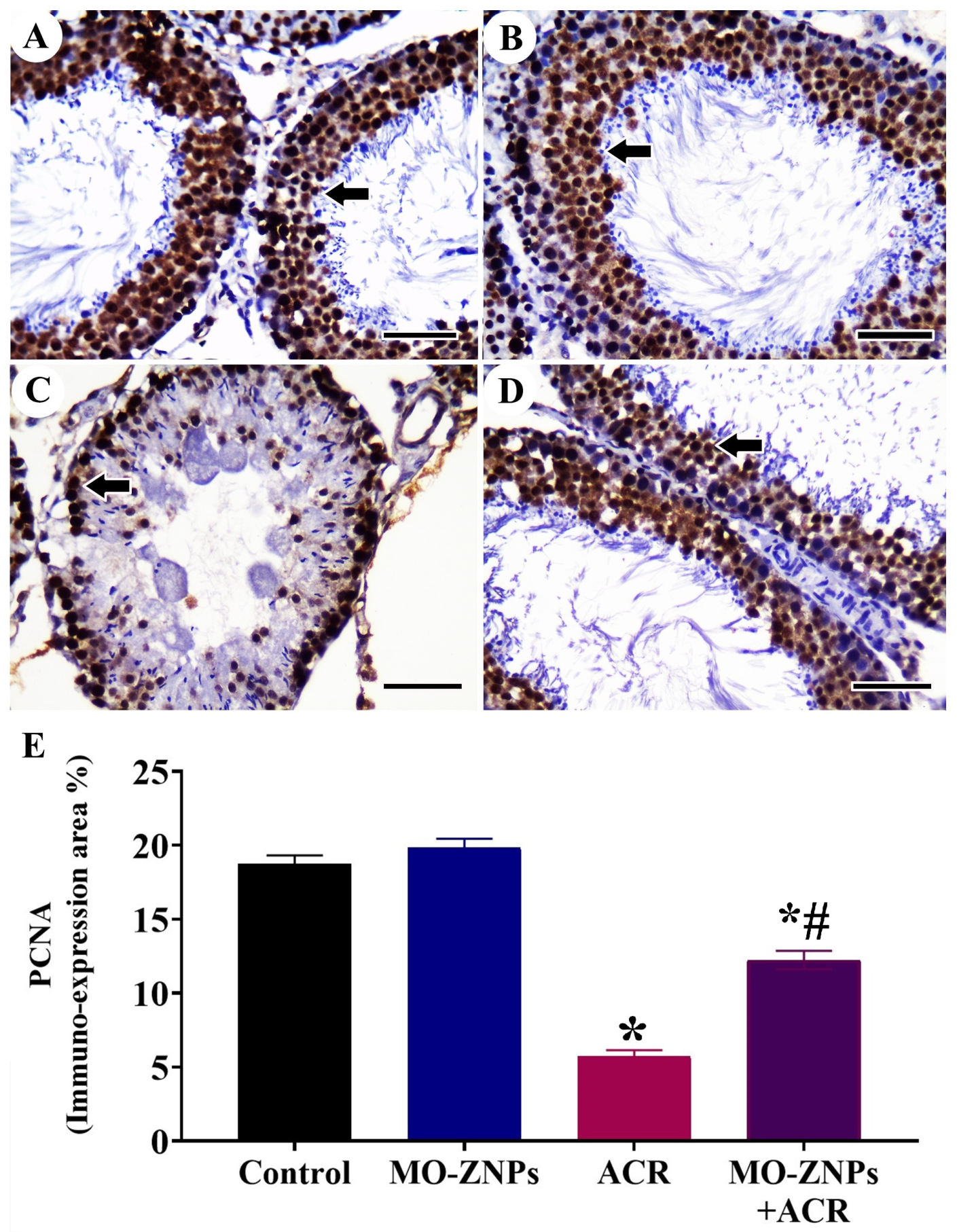 Antioxidants 12 00361 g005