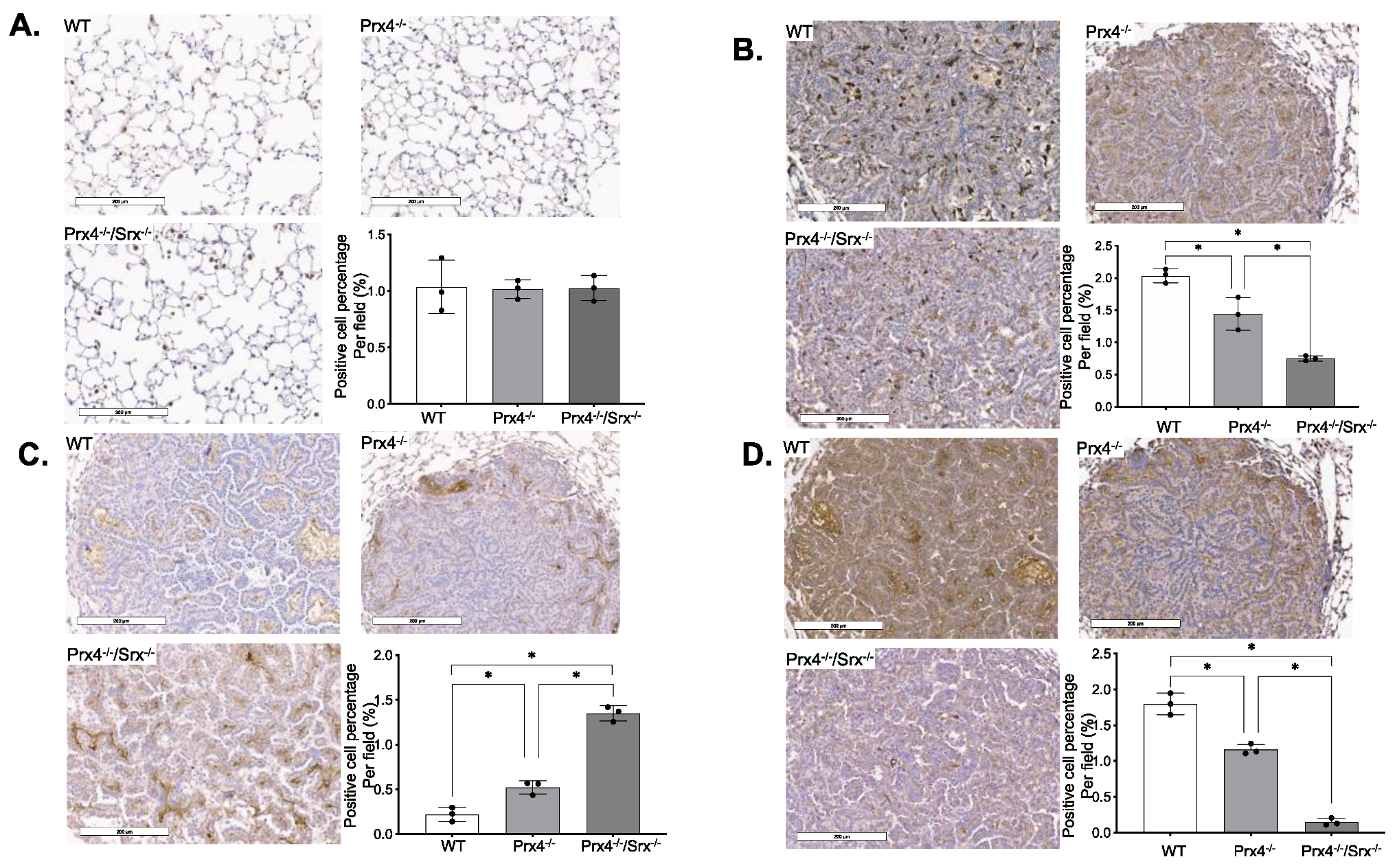 Antioxidants 12 00367 g002
