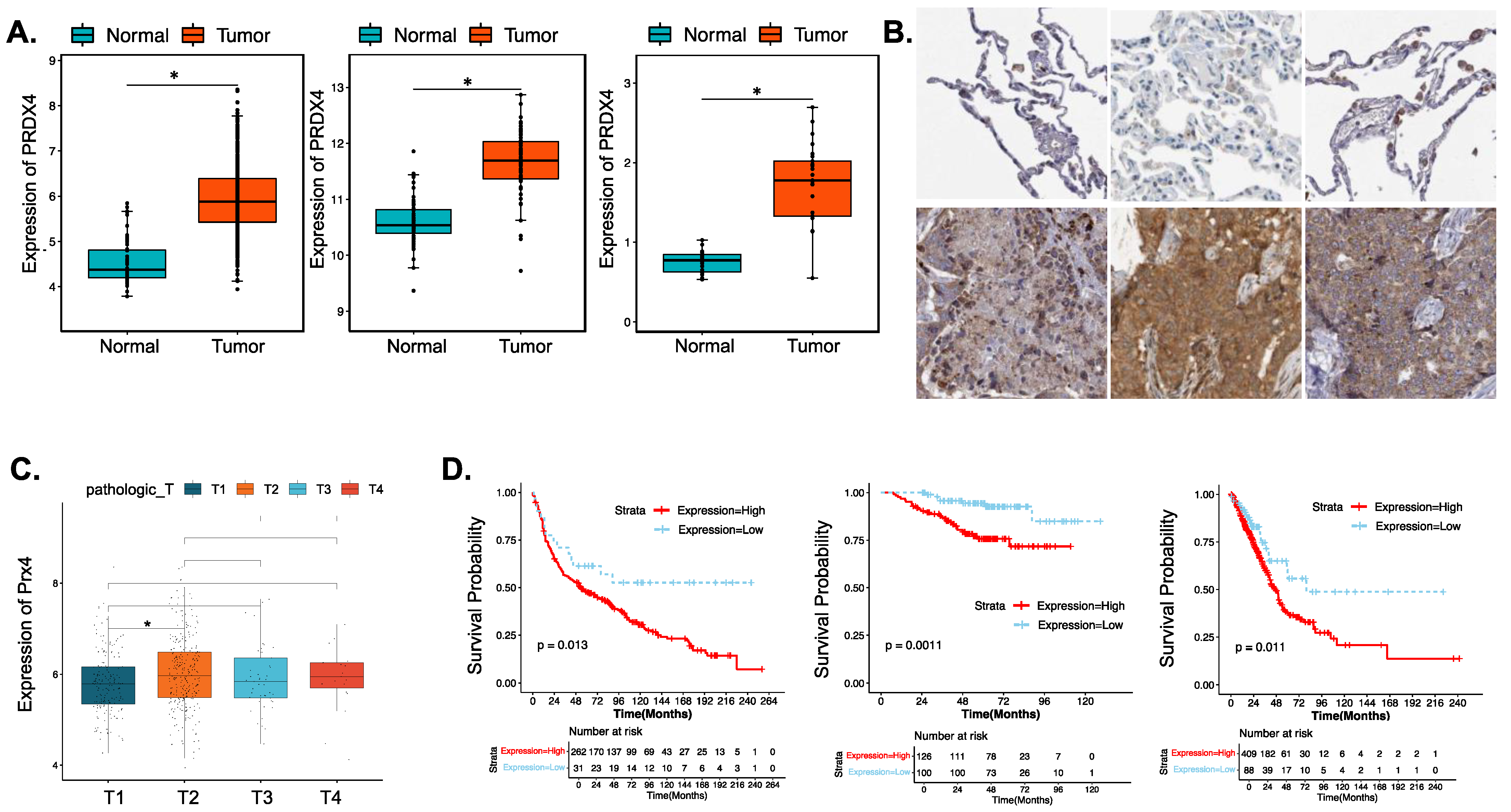 Antioxidants 12 00367 g004