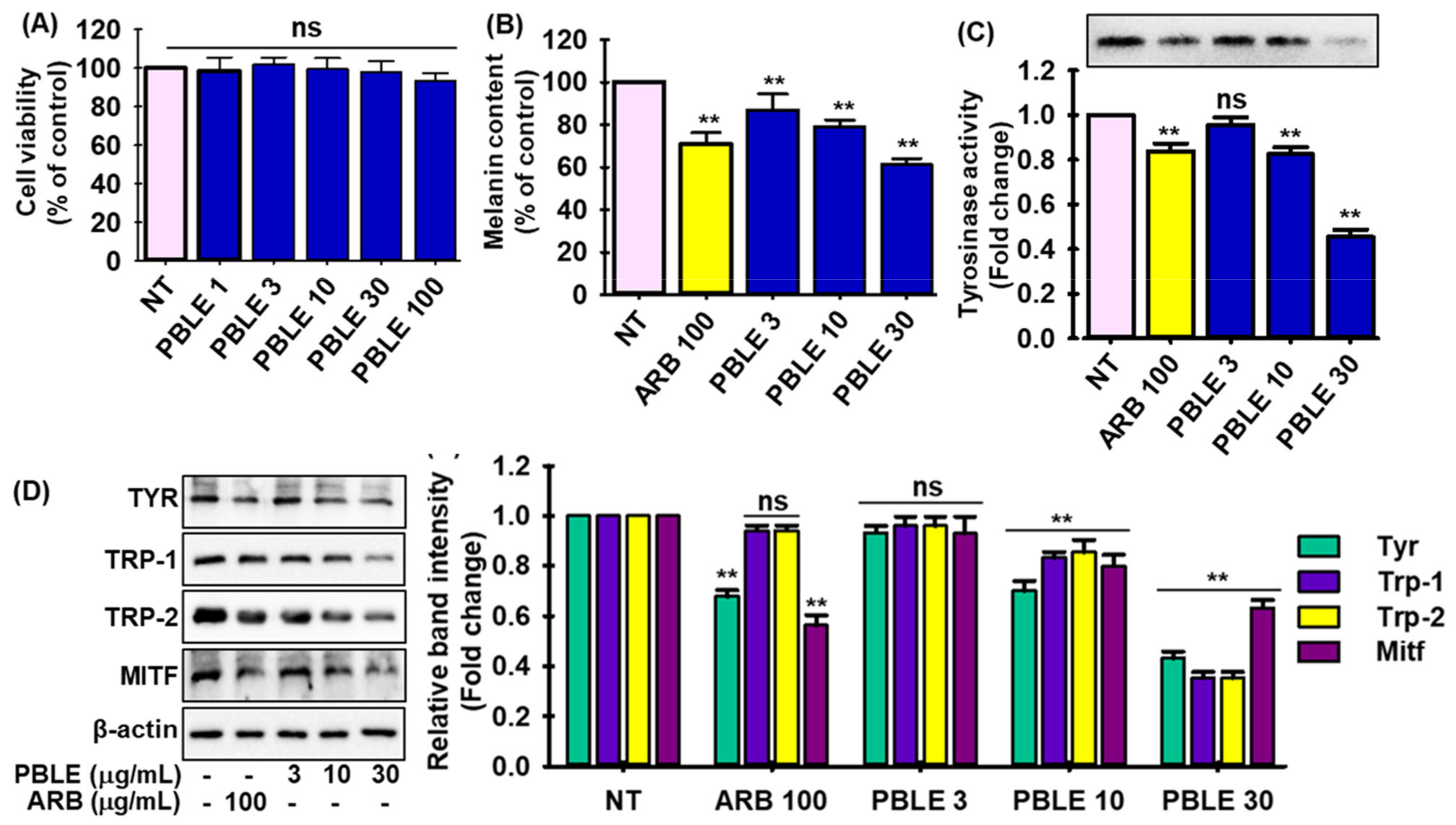 Antioxidants 12 00374 g003