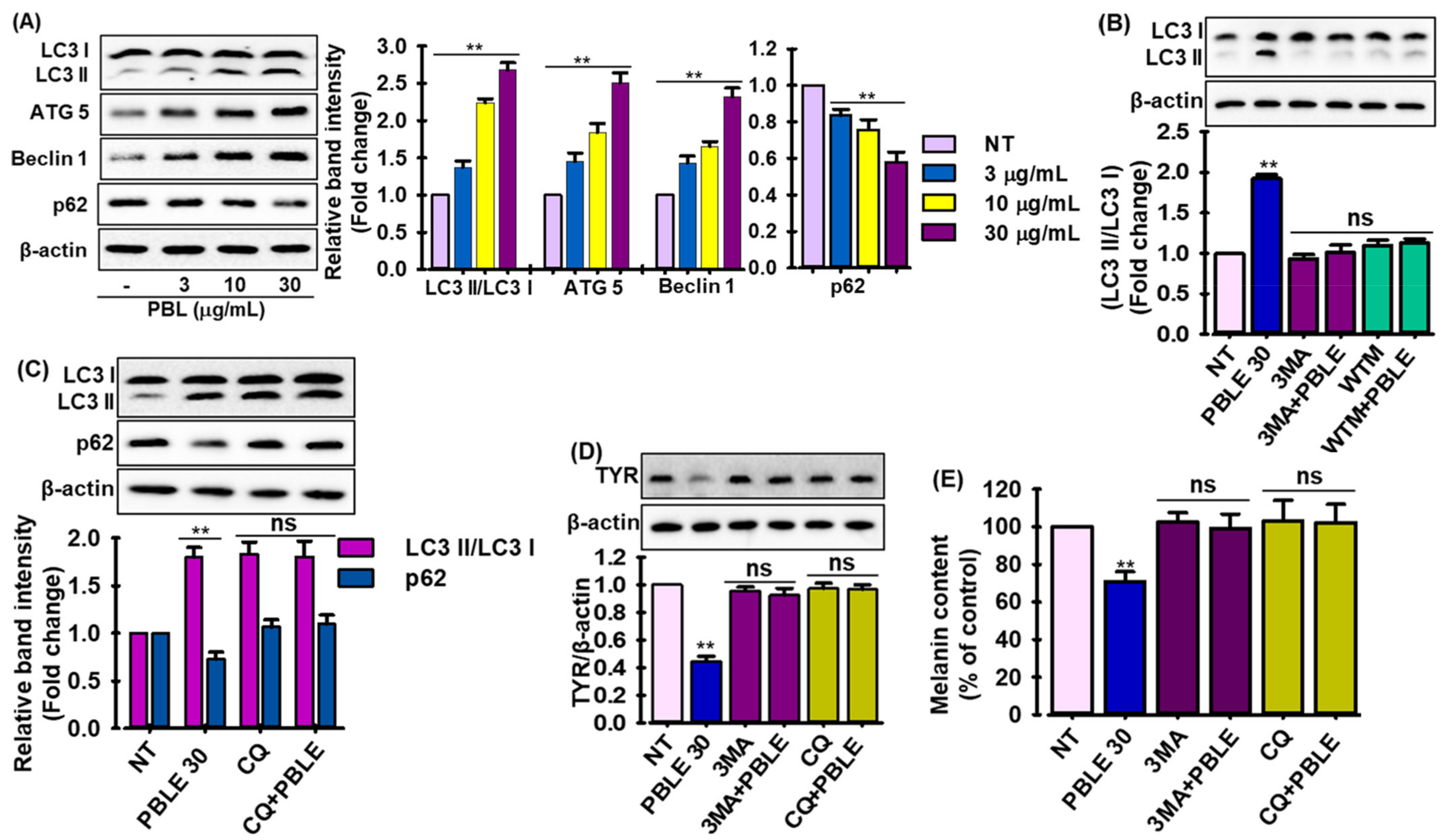 Antioxidants 12 00374 g006