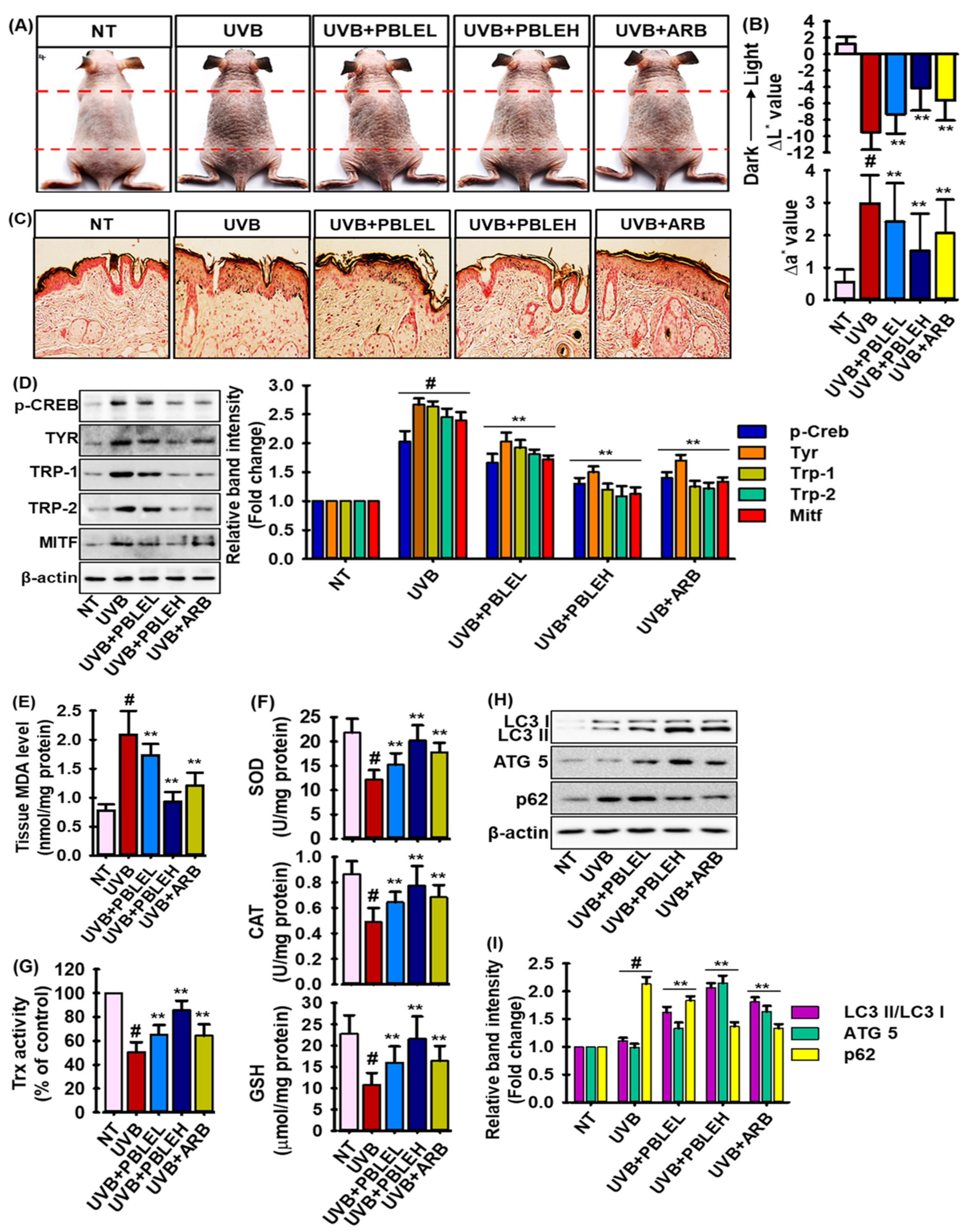 Antioxidants 12 00374 g007