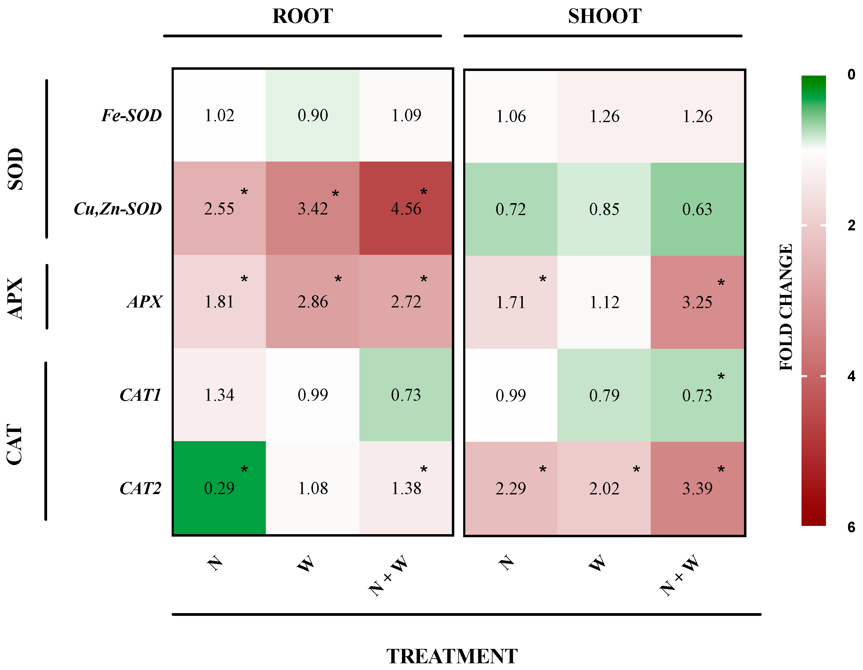 Antioxidants 12 00375 g006