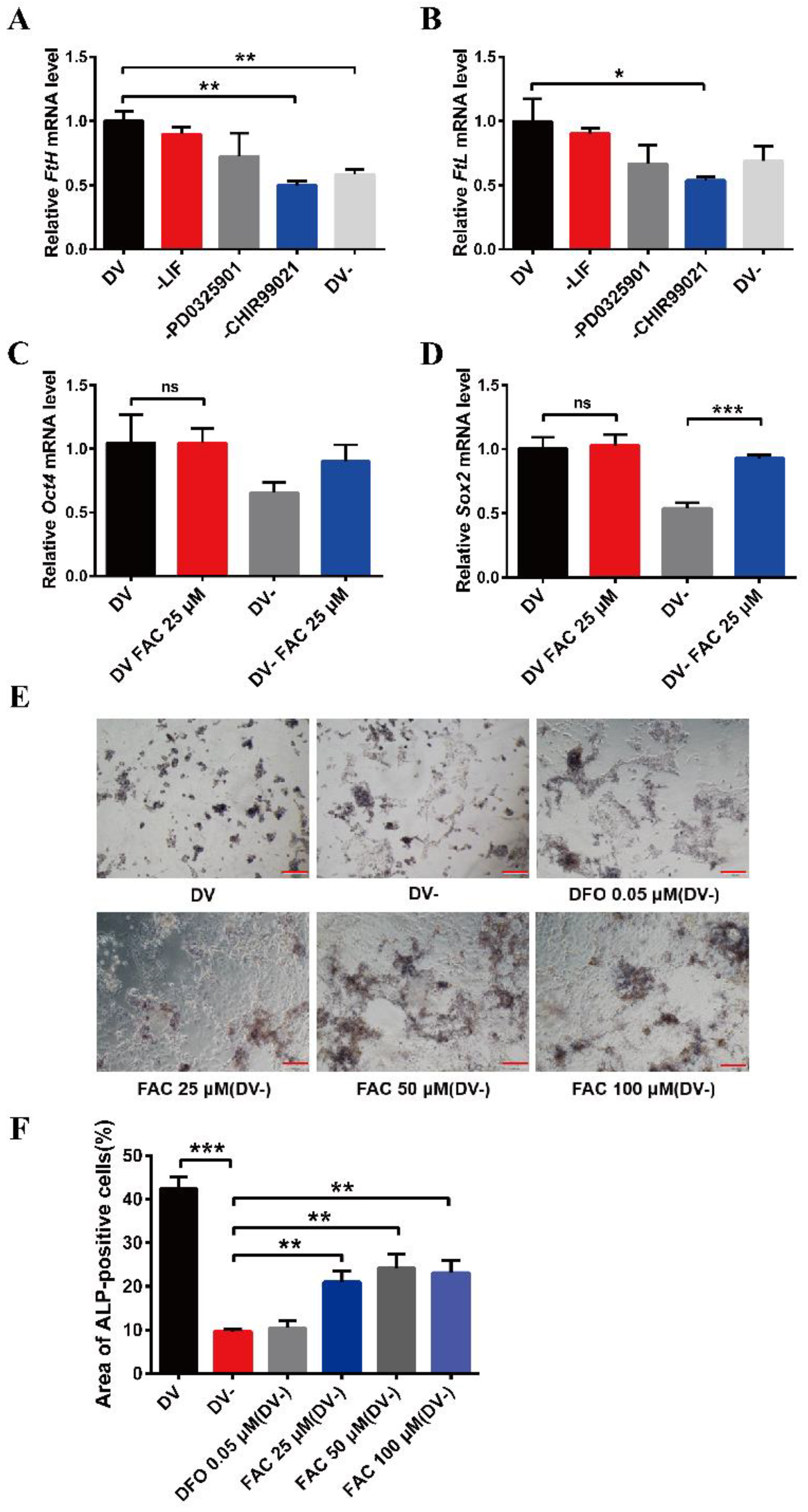 Antioxidants 12 00377 g001