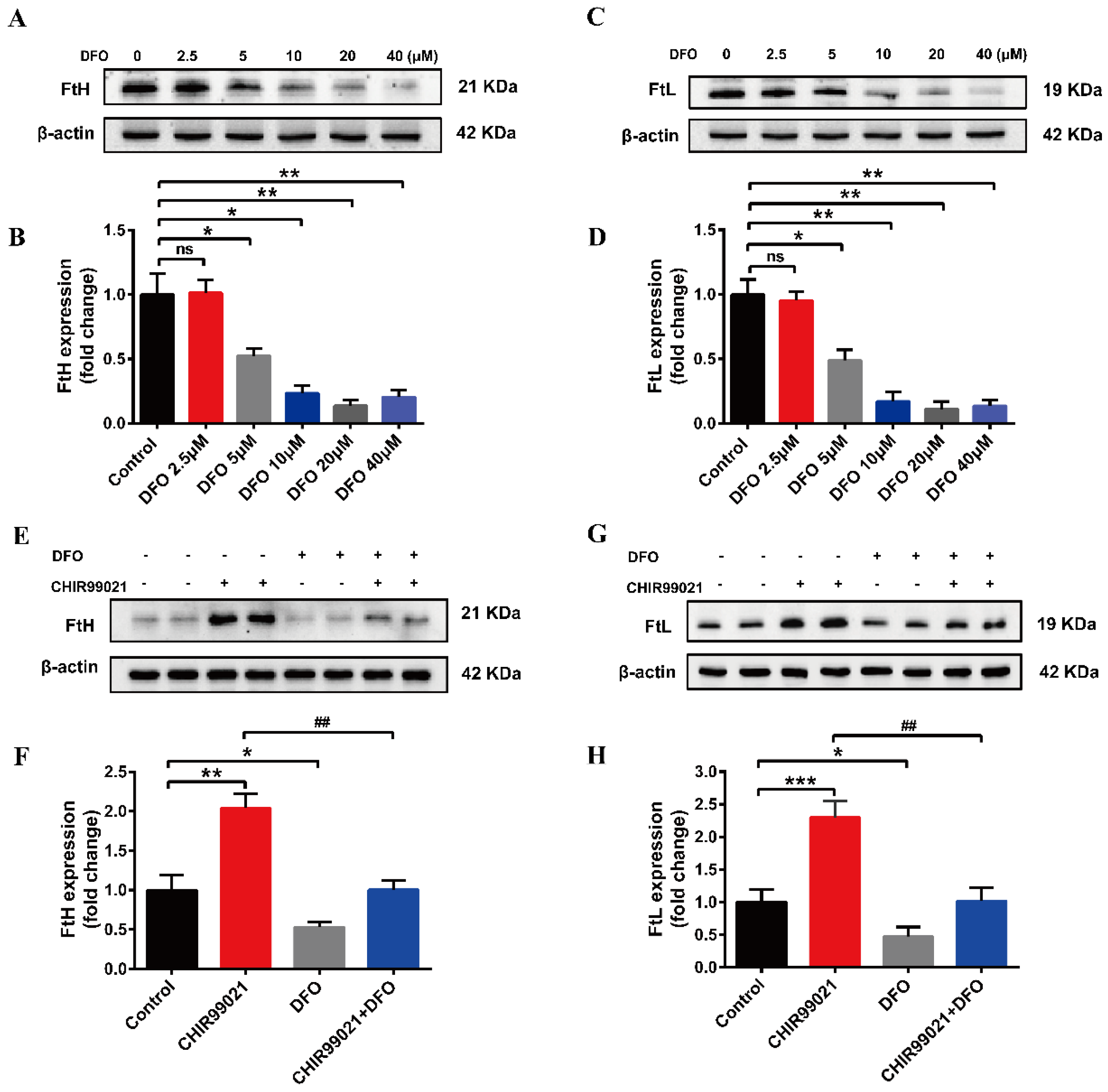 Antioxidants 12 00377 g003