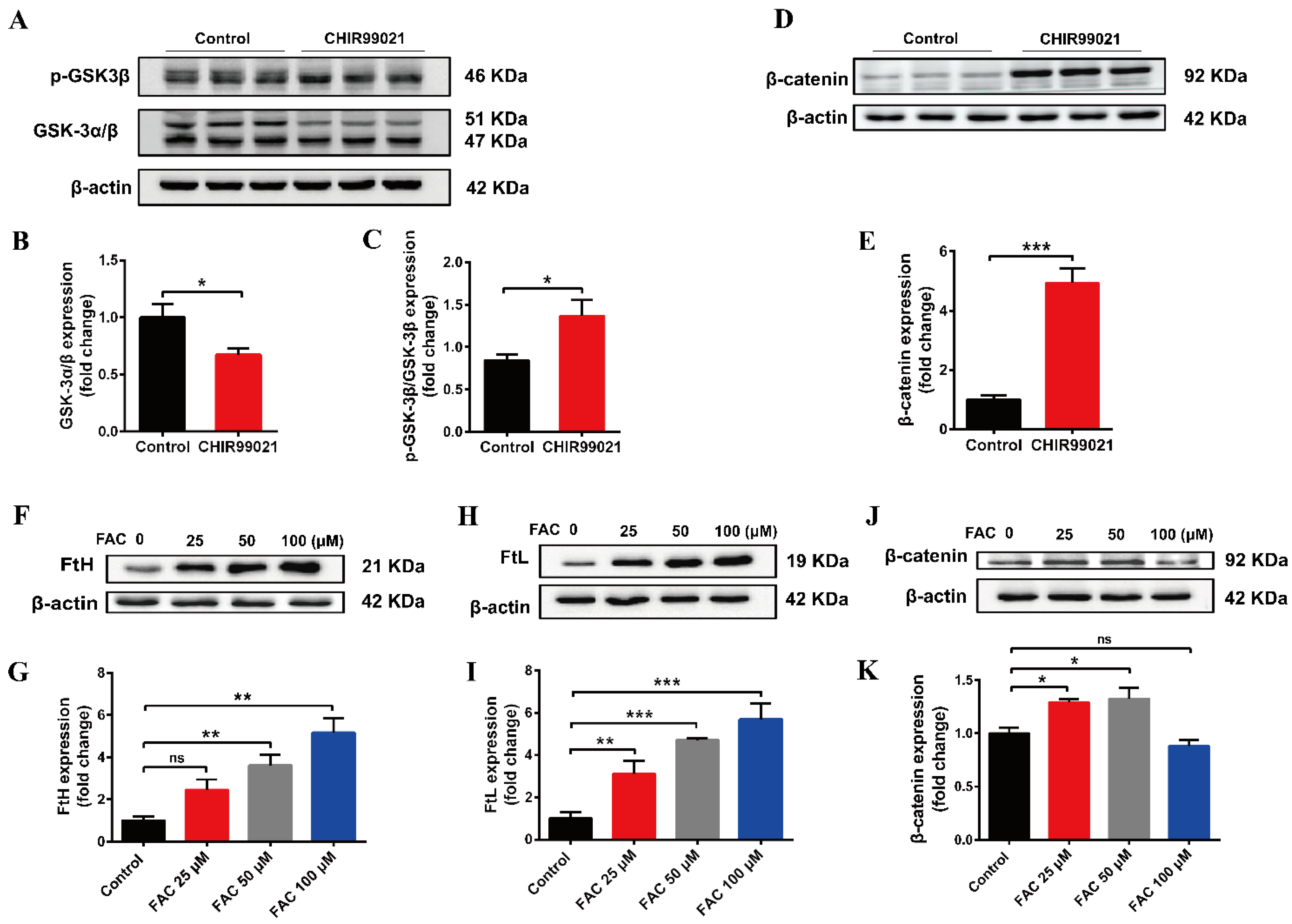 Antioxidants 12 00377 g005