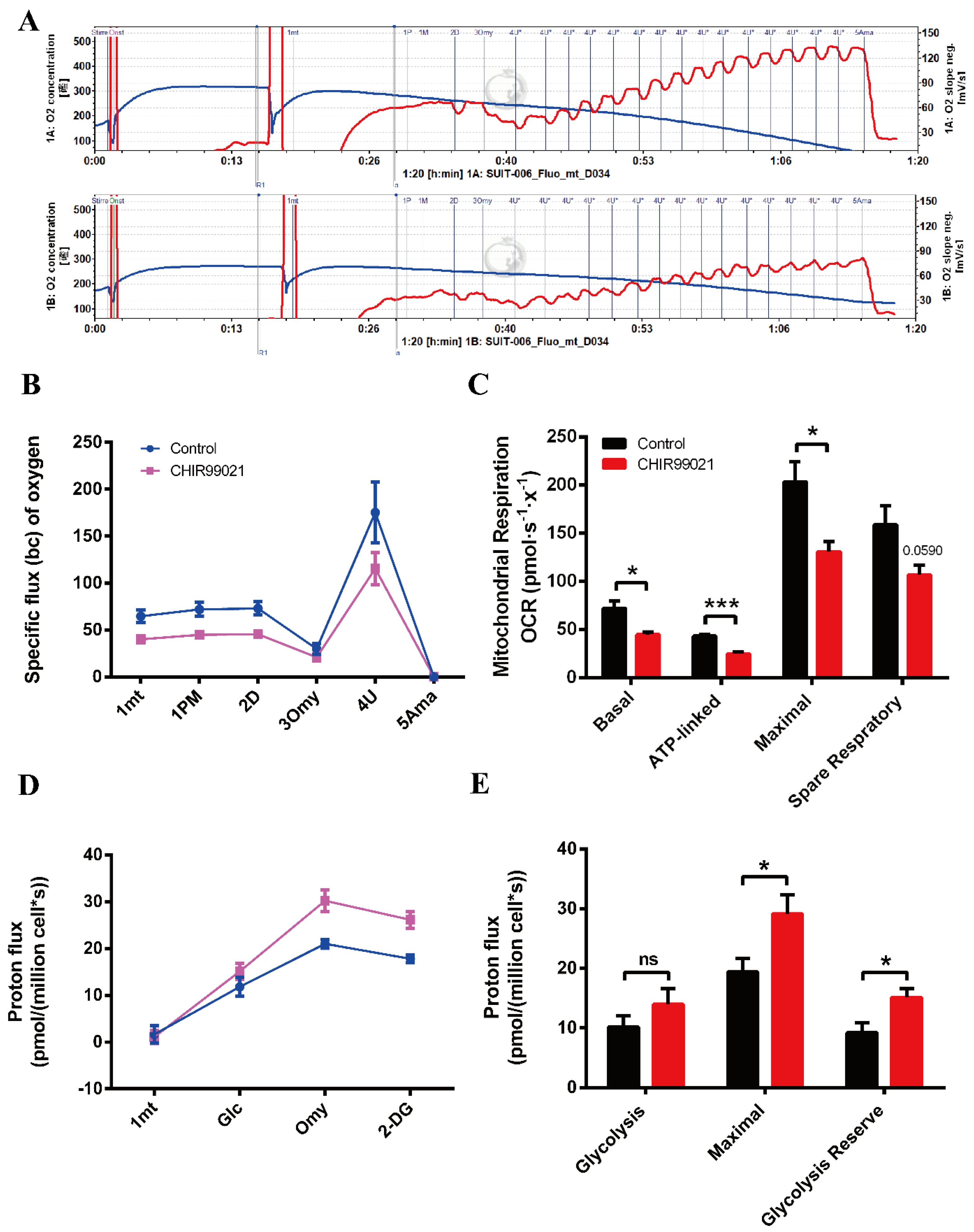 Antioxidants 12 00377 g007