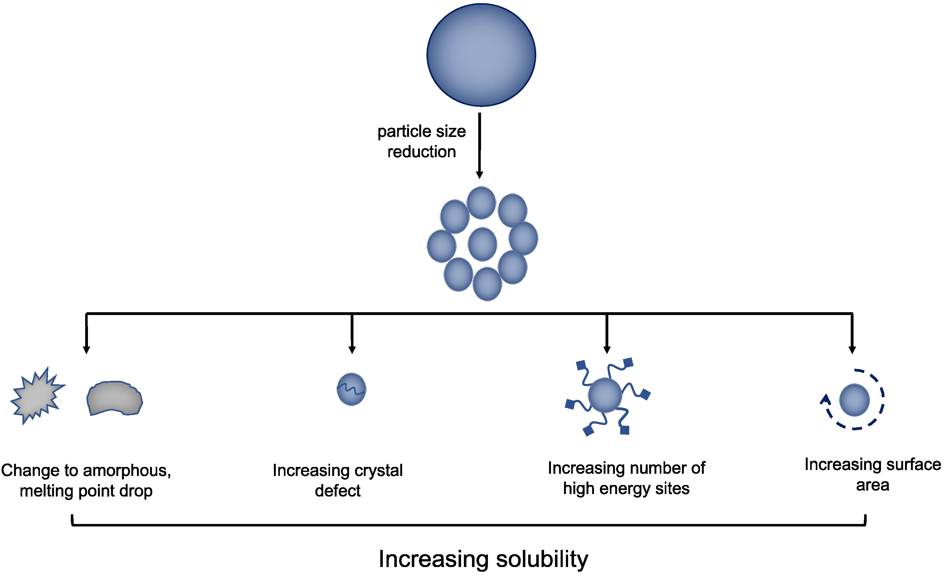 Antioxidants 12 00378 g004