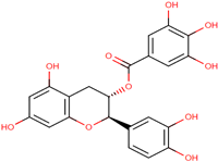 Antioxidants 12 00378 i008 Antioxidants 12 00378 i008