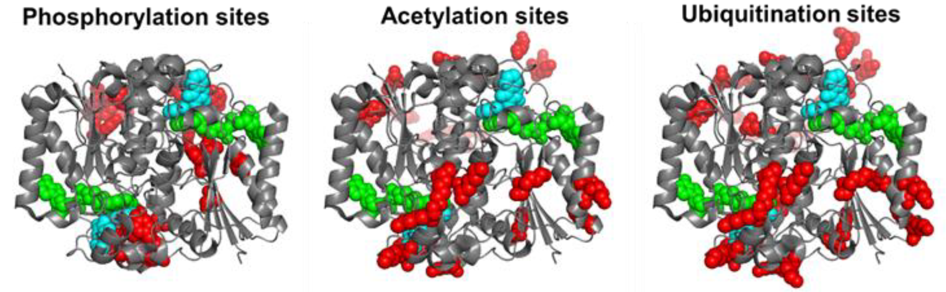 Antioxidants 12 00379 g002