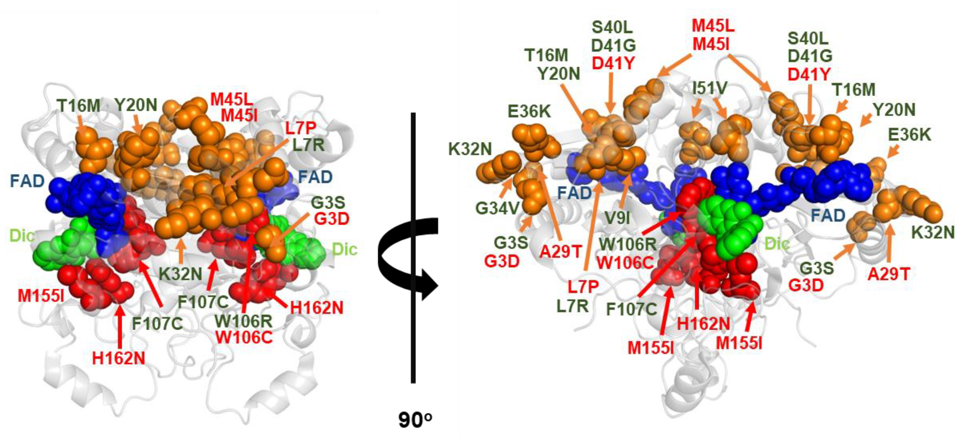 Antioxidants 12 00379 g007