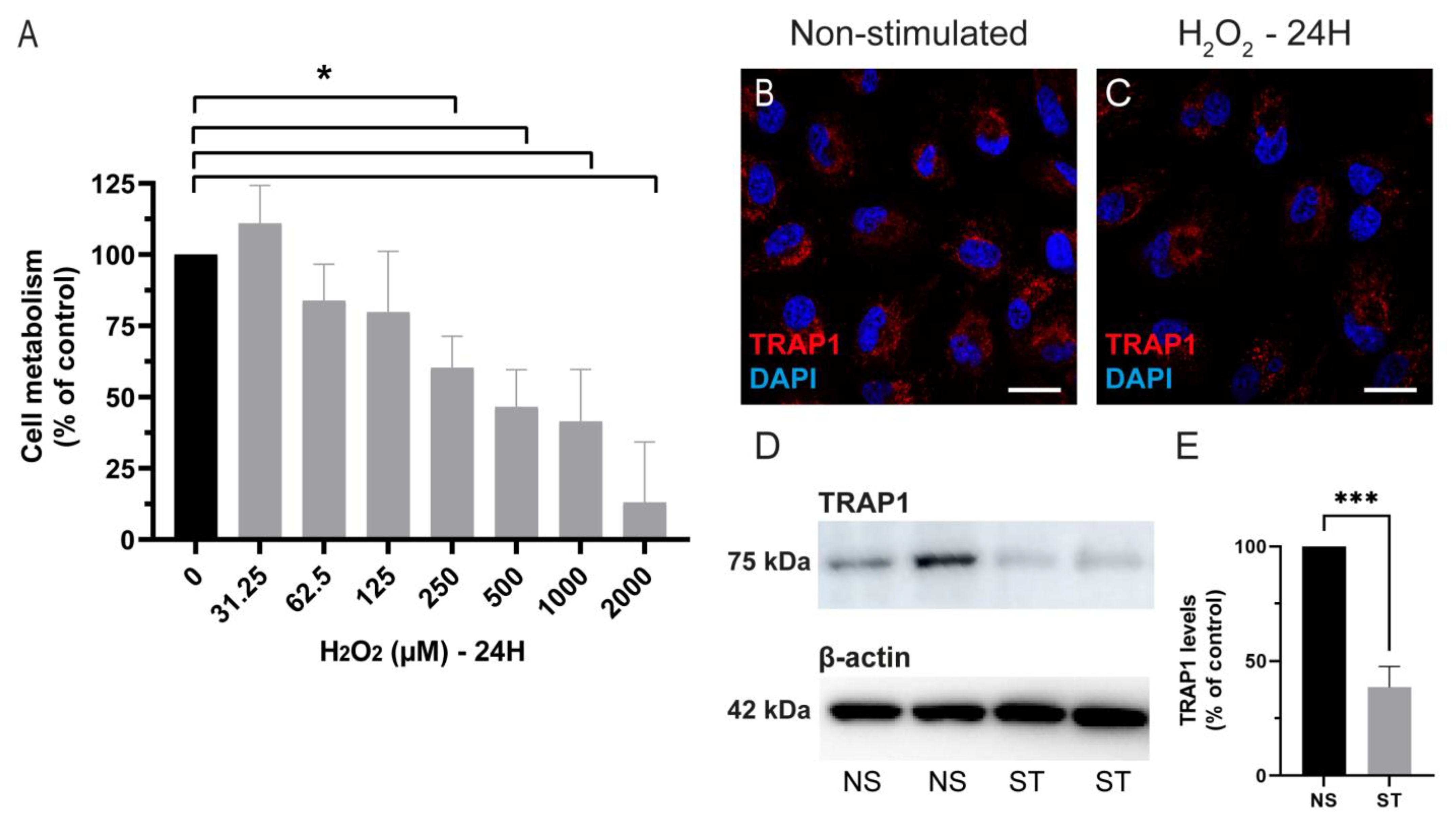 Antioxidants 12 00381 g002