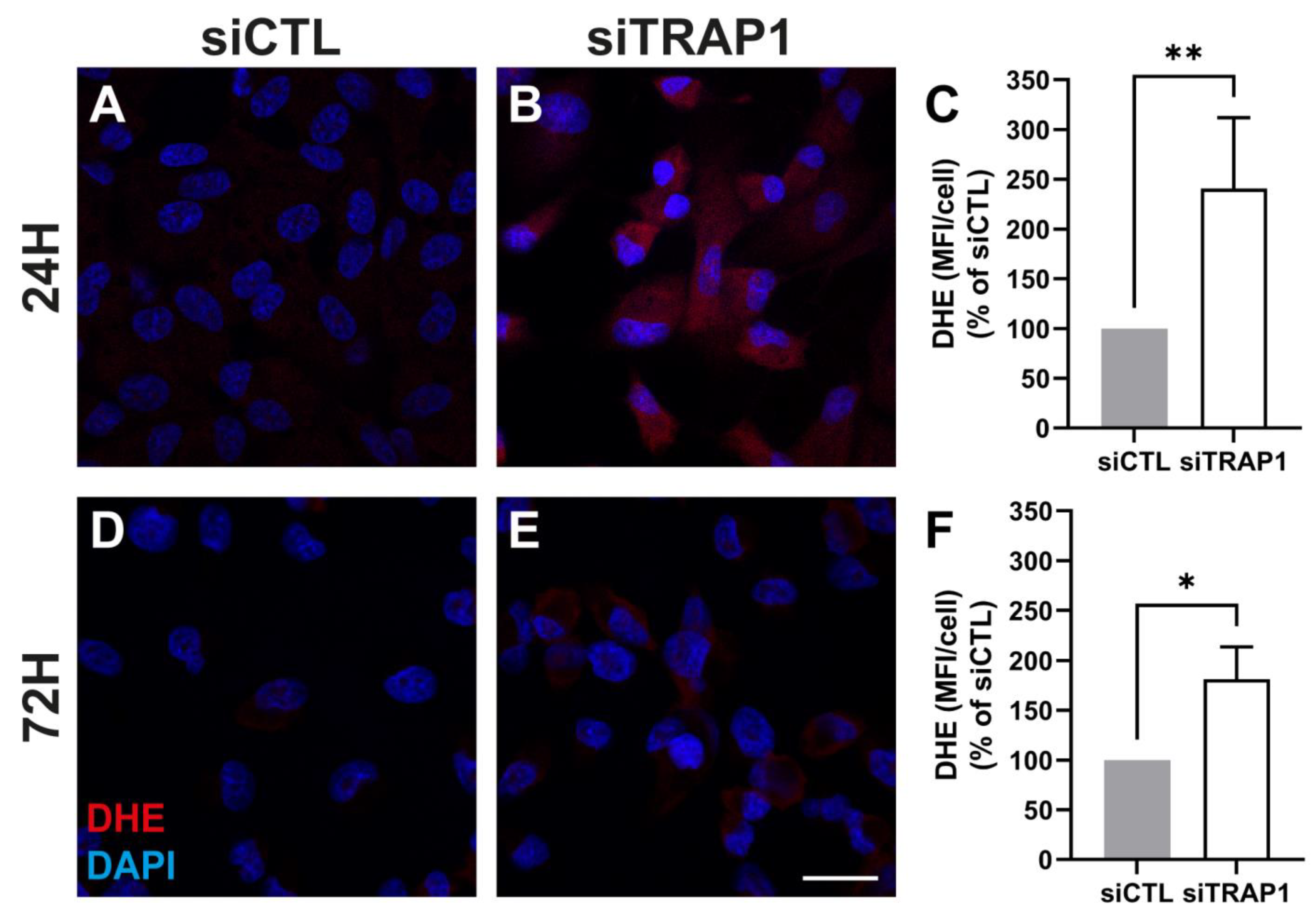 Antioxidants 12 00381 g004