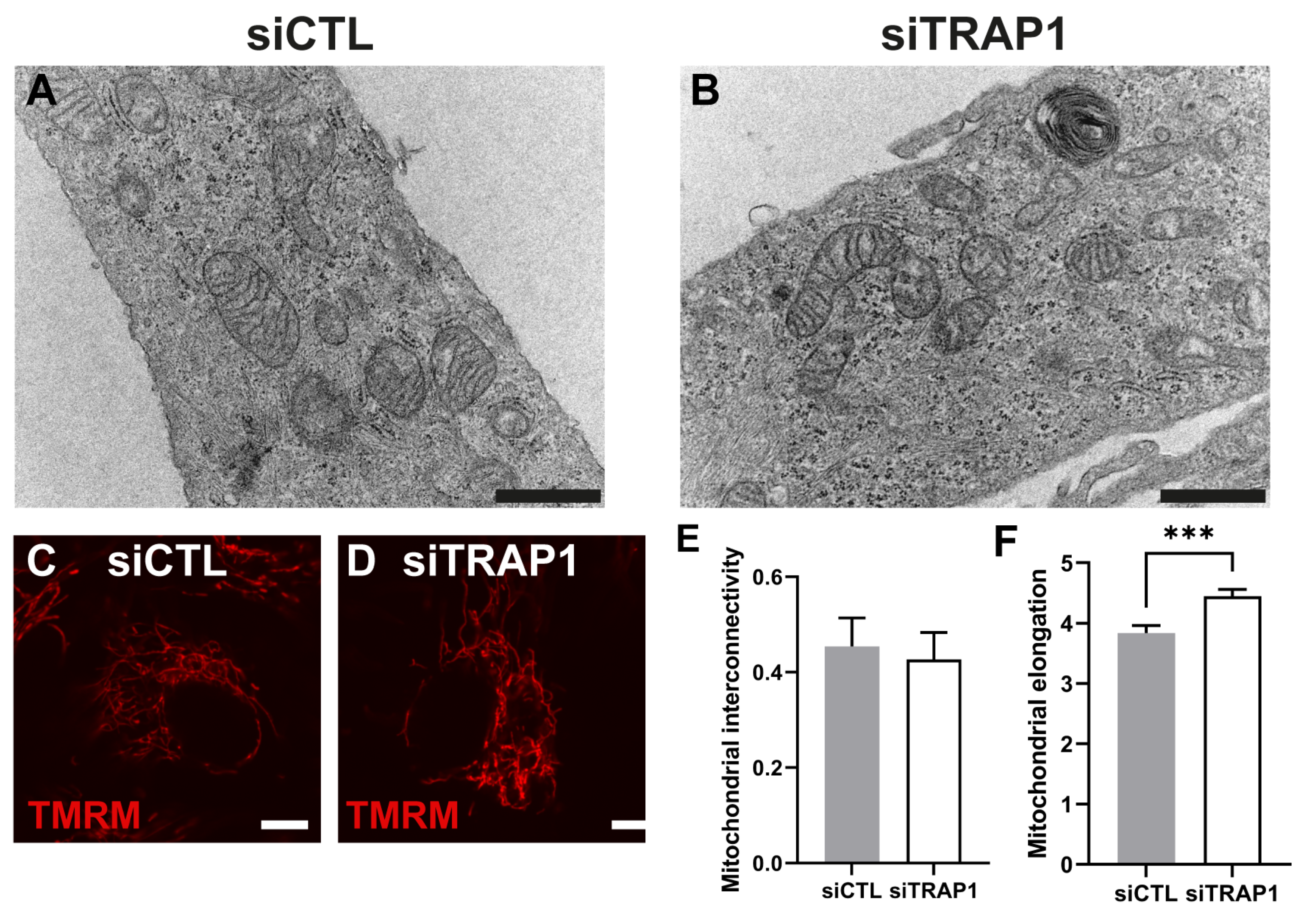 Antioxidants 12 00381 g005
