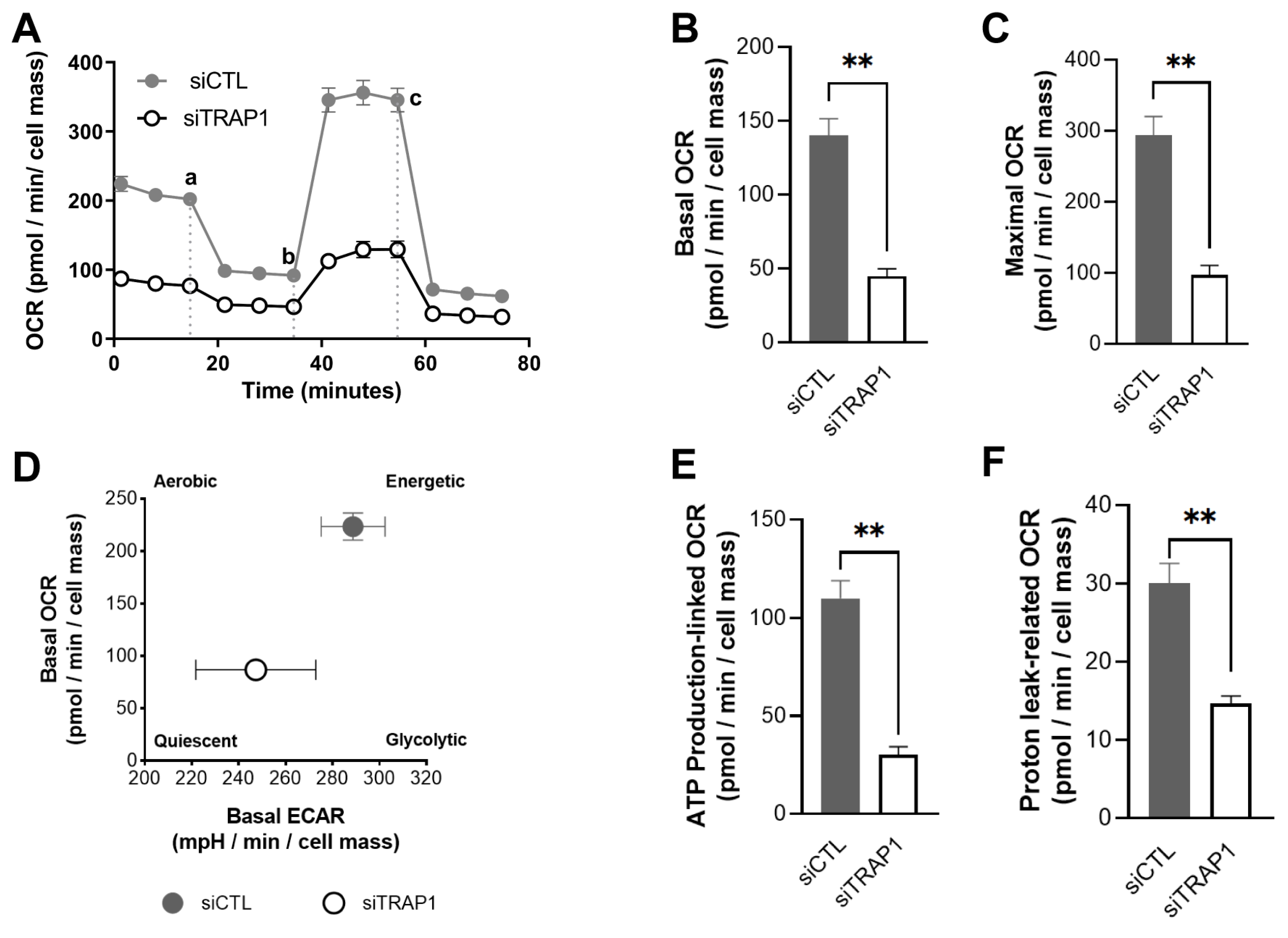 Antioxidants 12 00381 g006