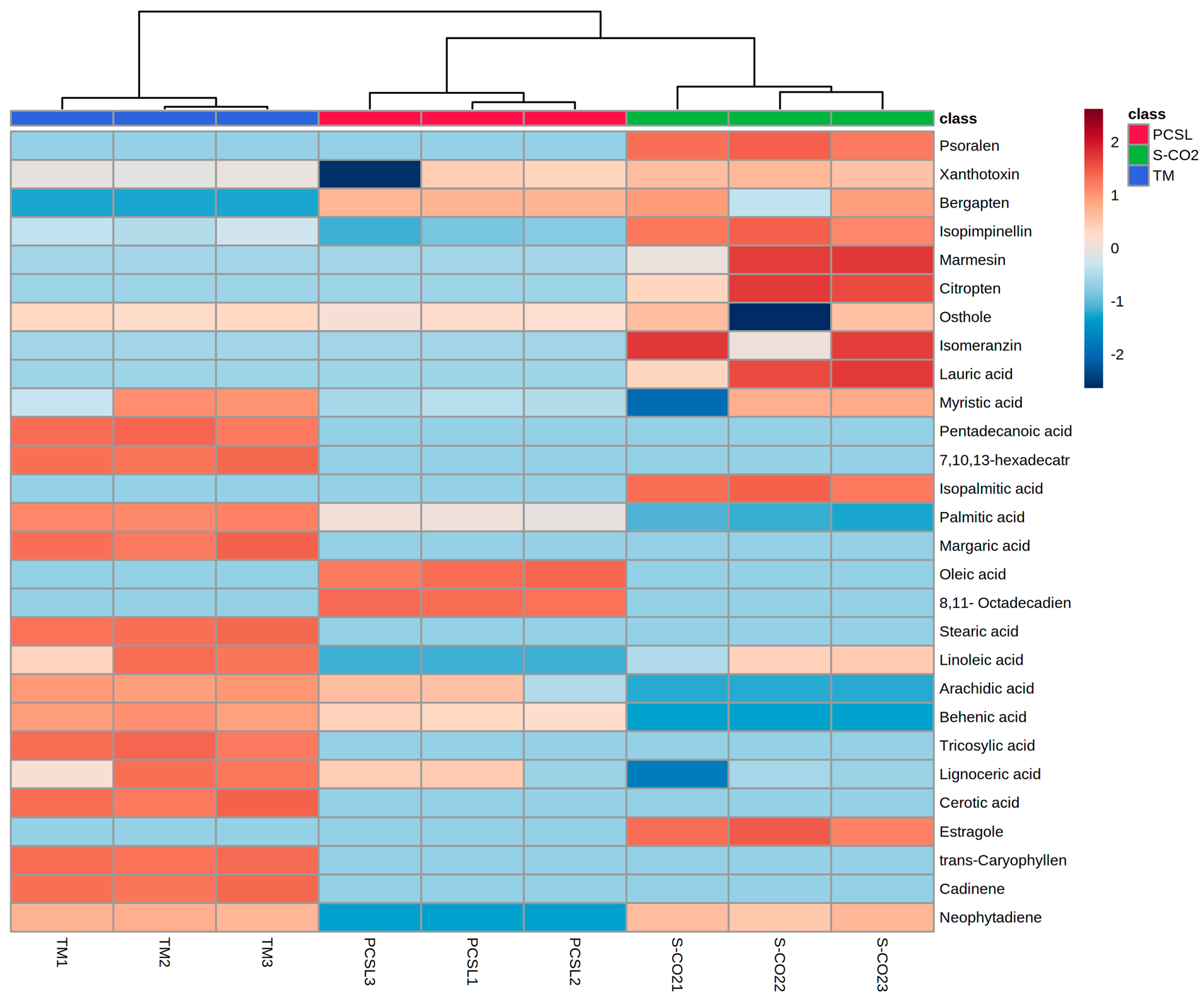 Antioxidants 12 00384 g002 Antioxidants 12 00384 g002