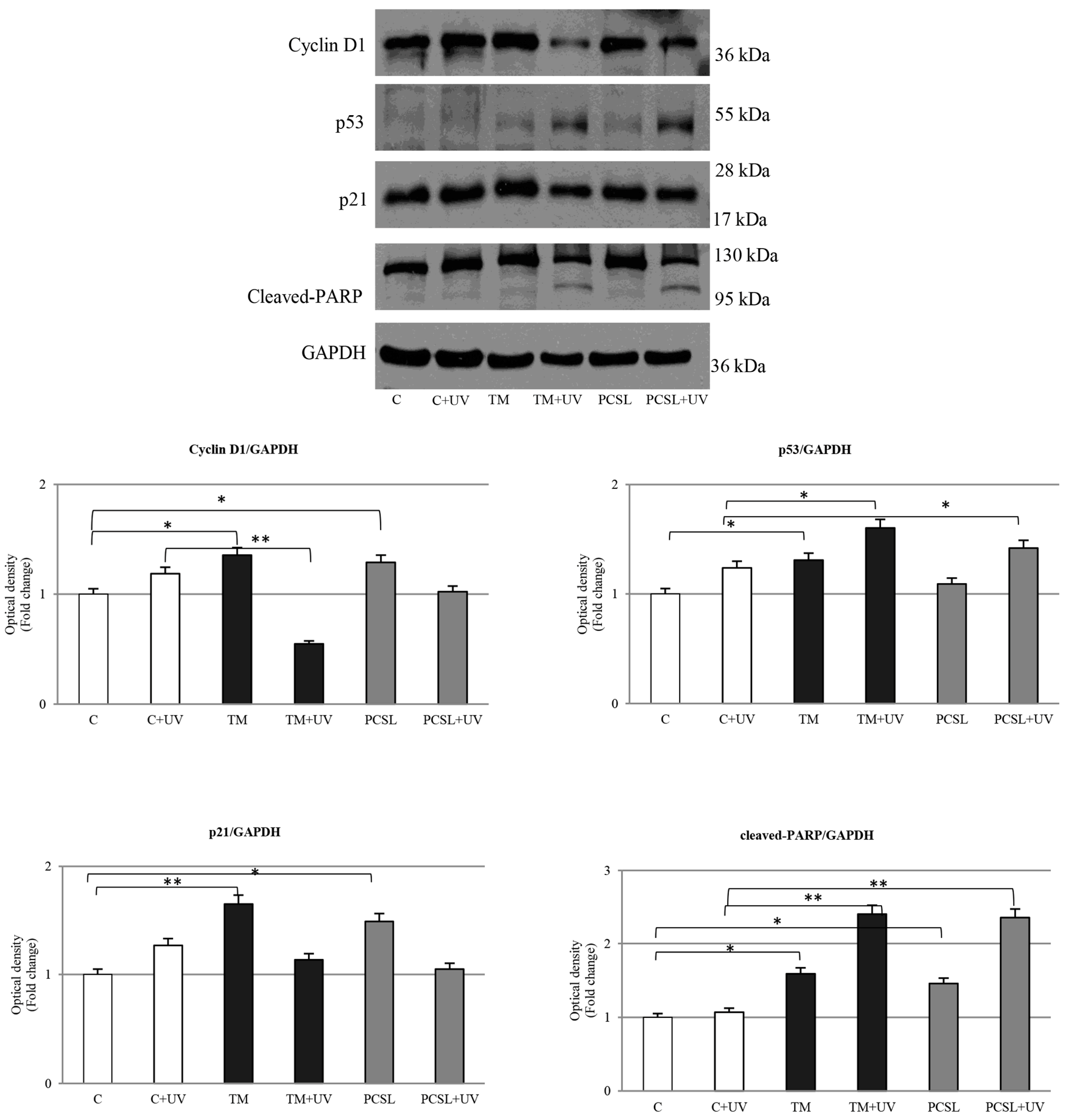 Antioxidants 12 00384 g007 Antioxidants 12 00384 g007