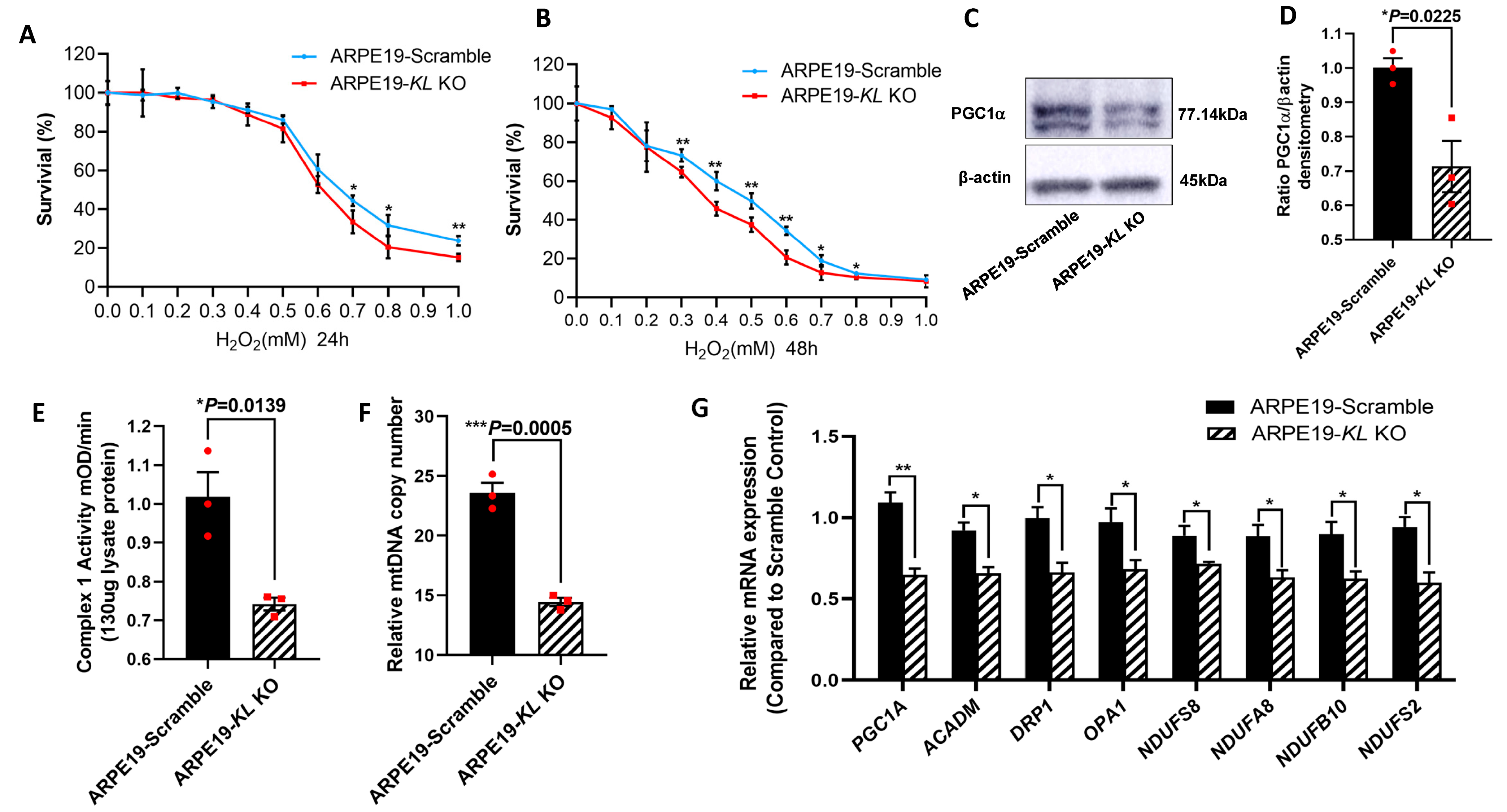 Antioxidants 12 00385 g006 Antioxidants 12 00385 g006