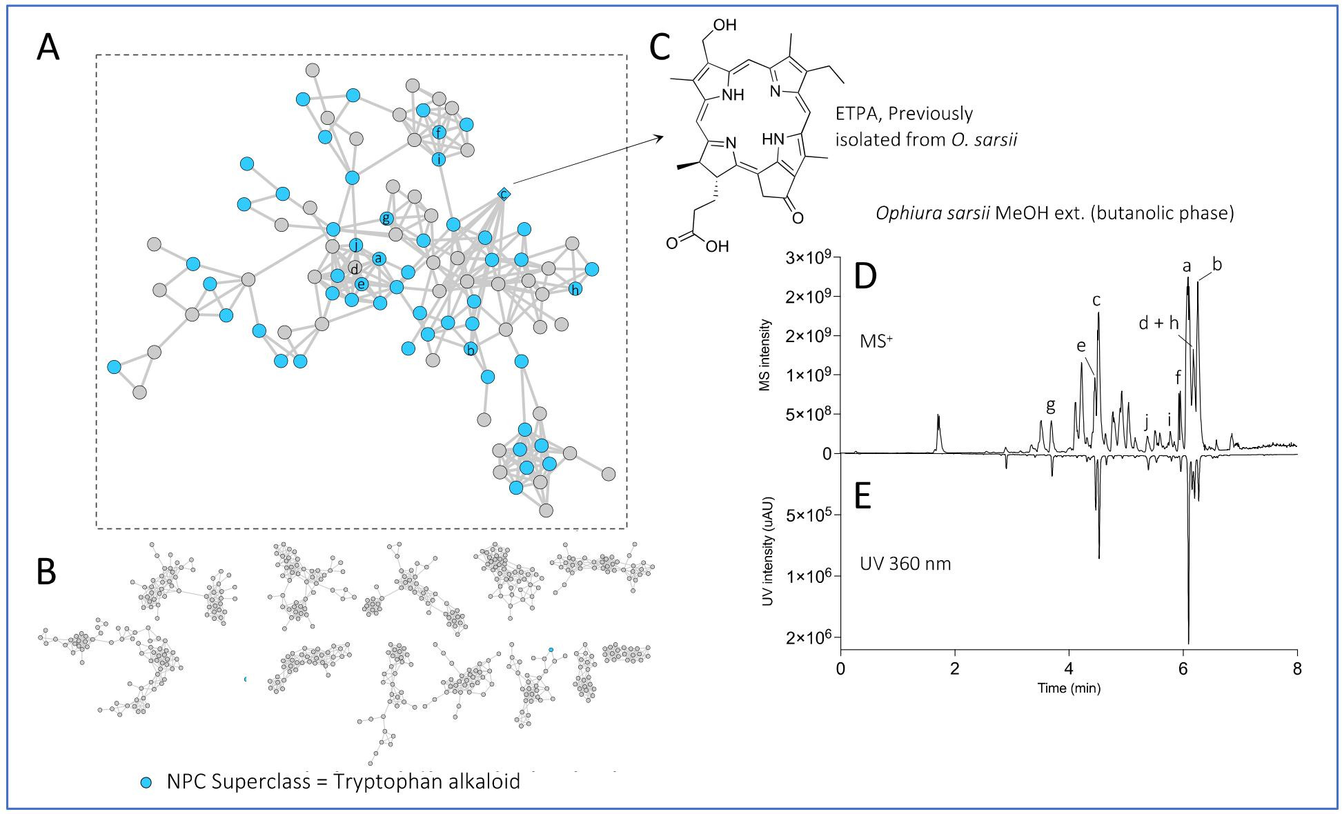 Antioxidants 12 00386 g002