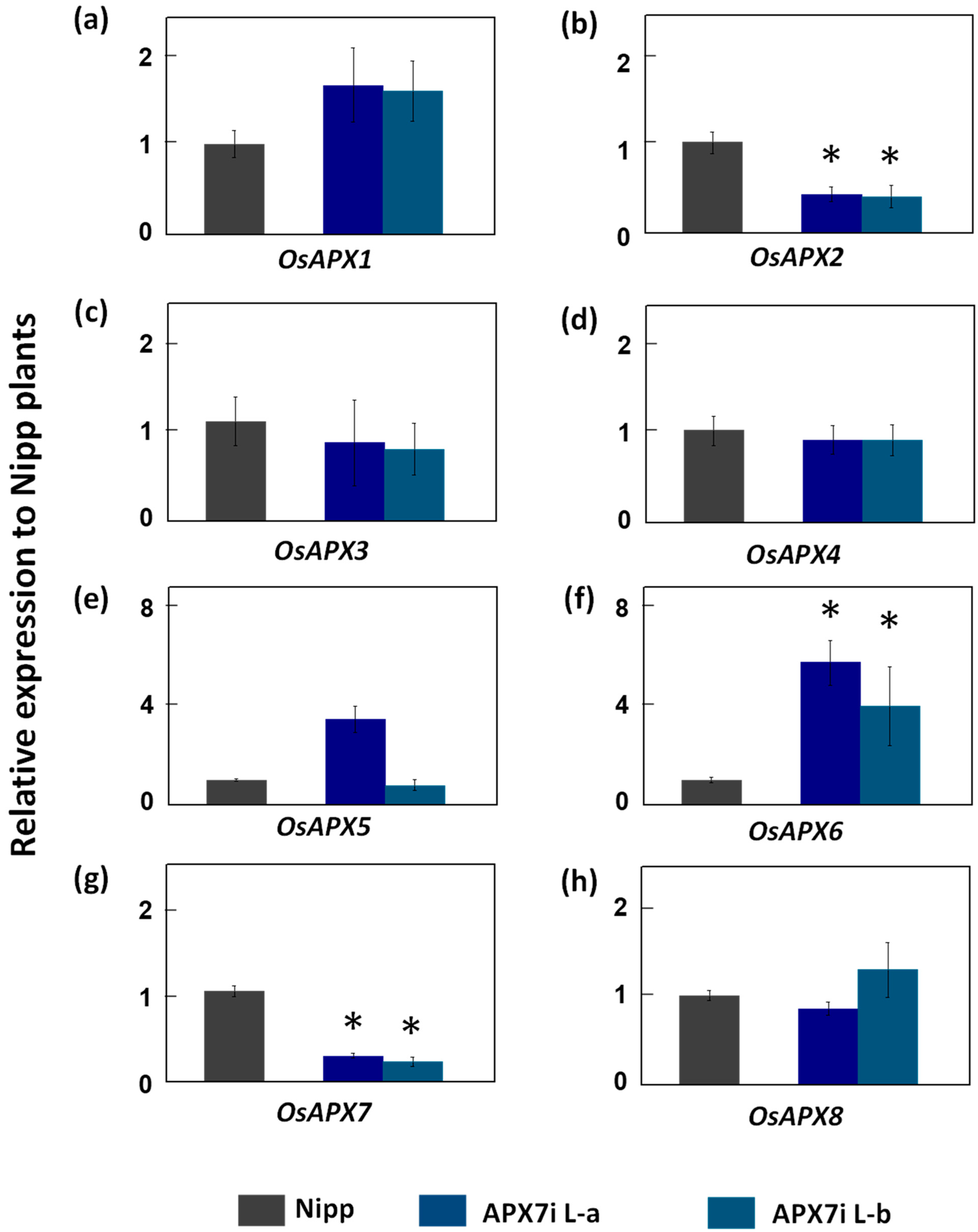 Antioxidants 12 00387 g002