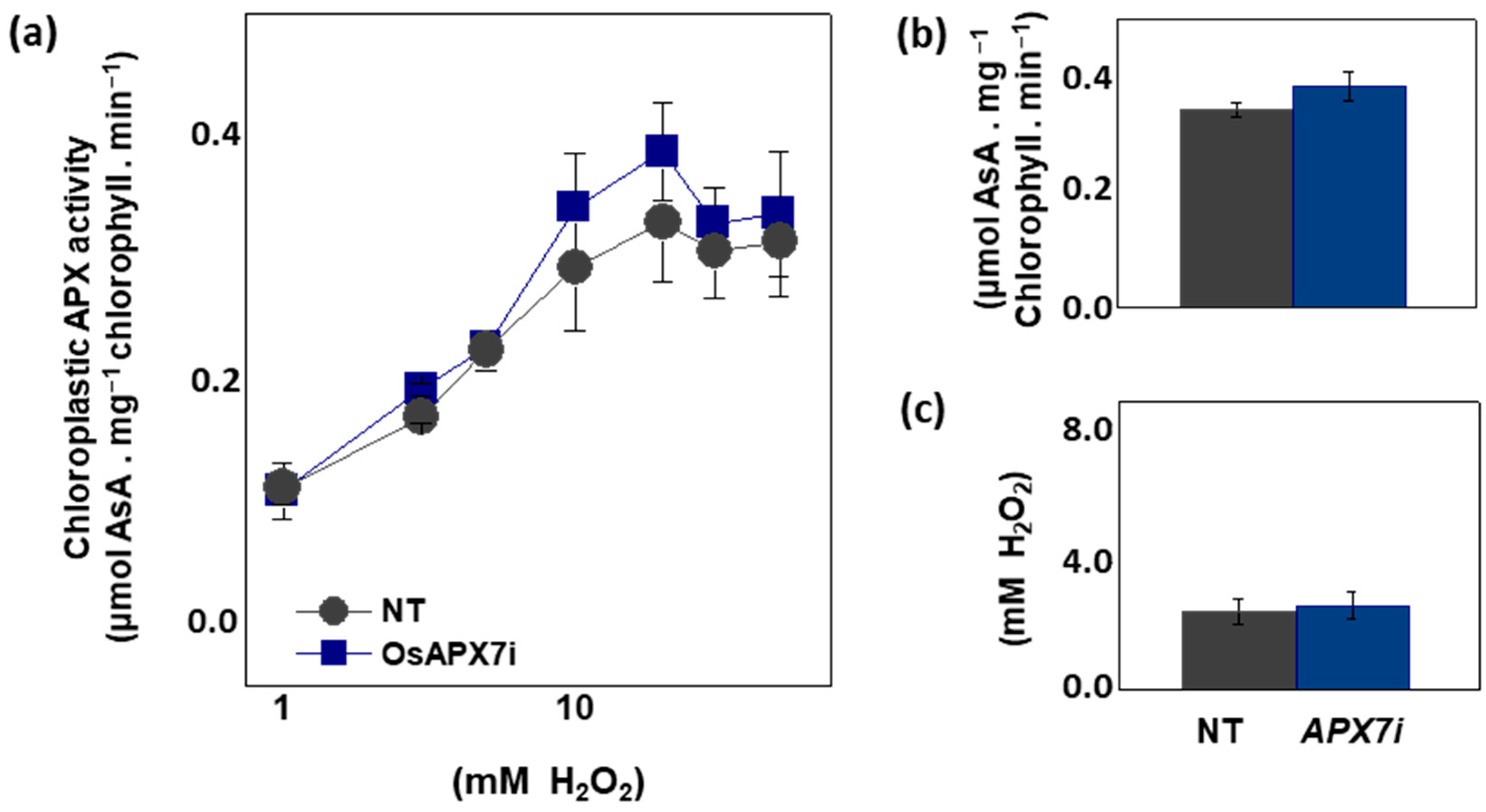 Antioxidants 12 00387 g003