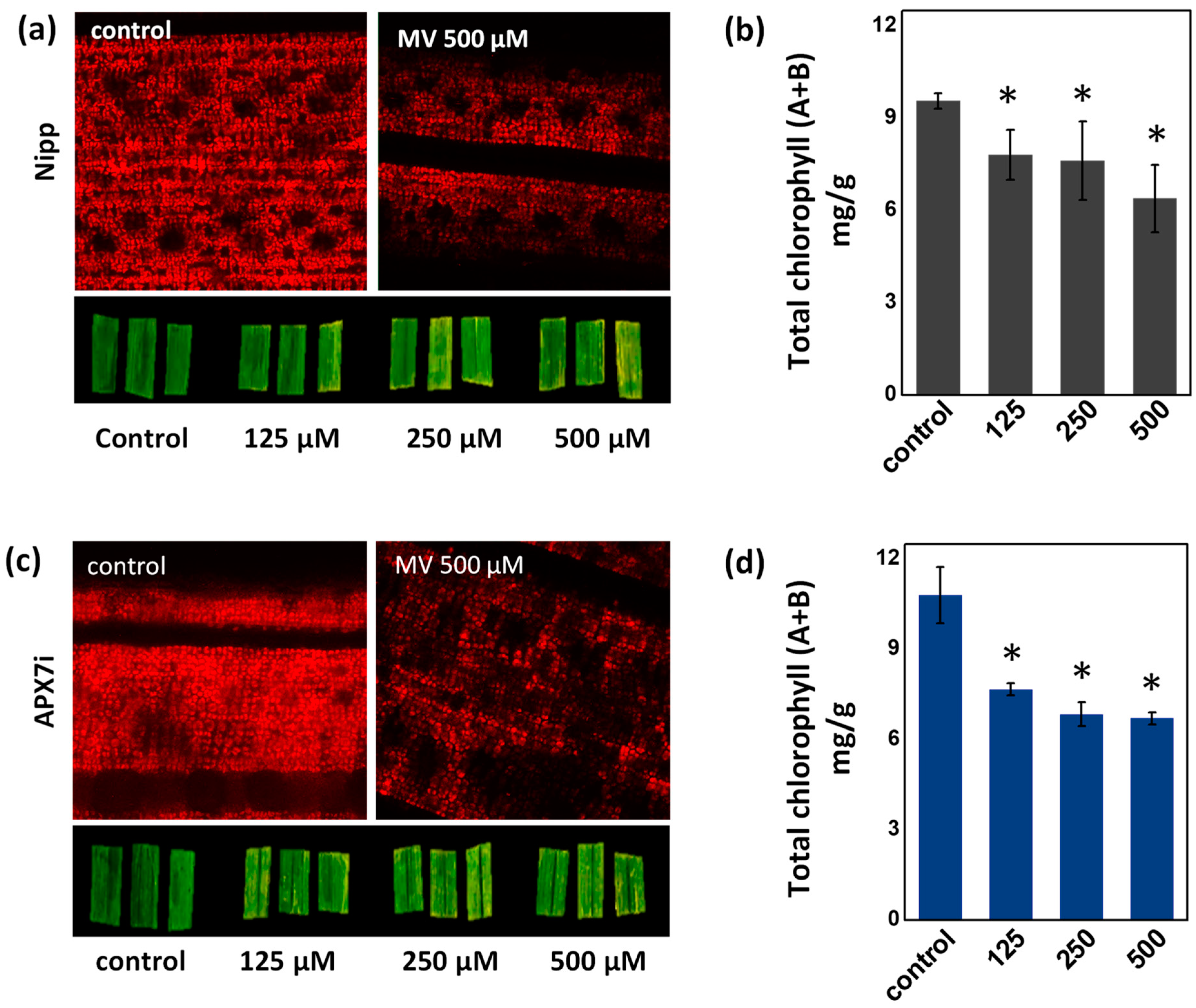 Antioxidants 12 00387 g004