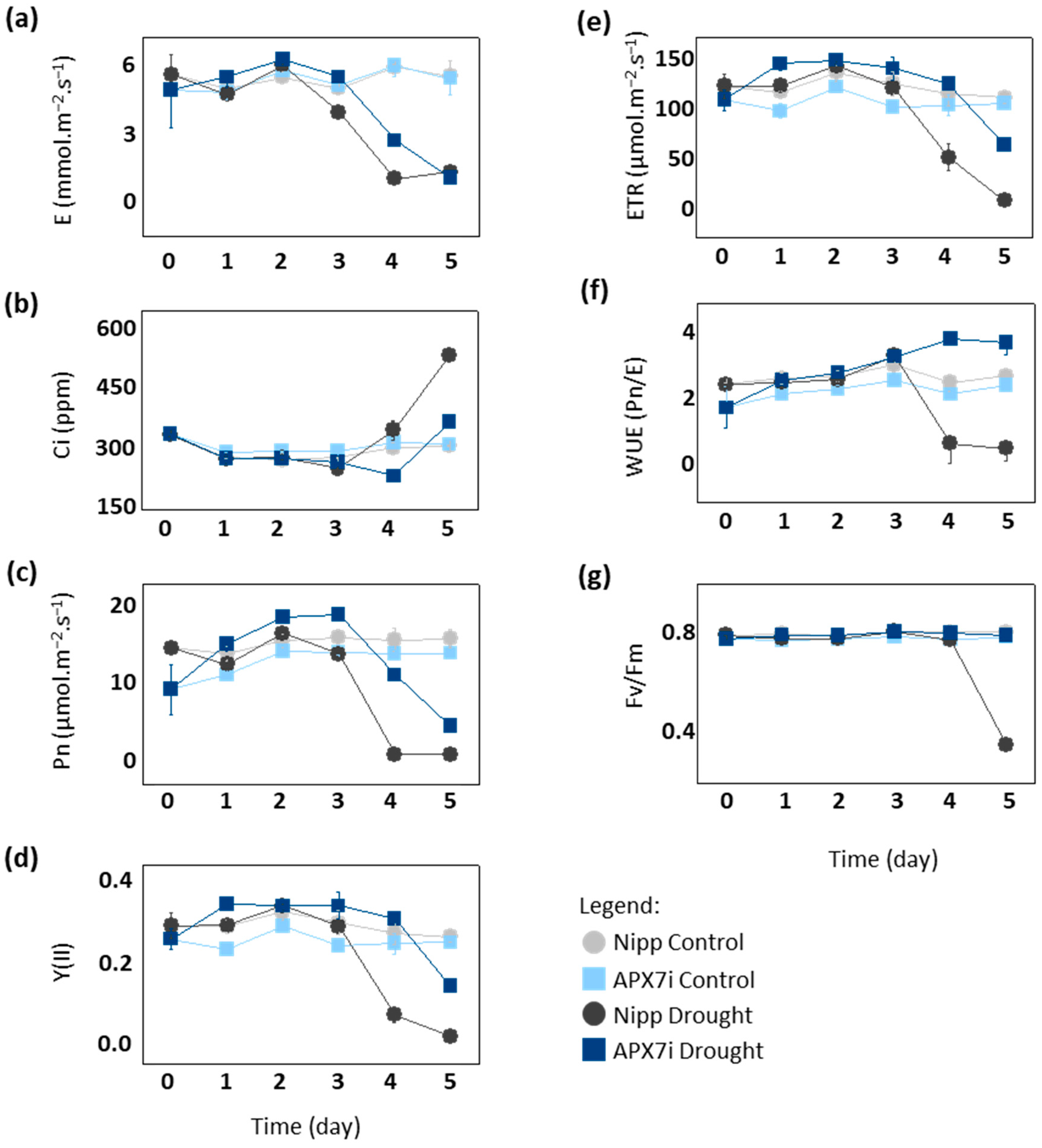 Antioxidants 12 00387 g006