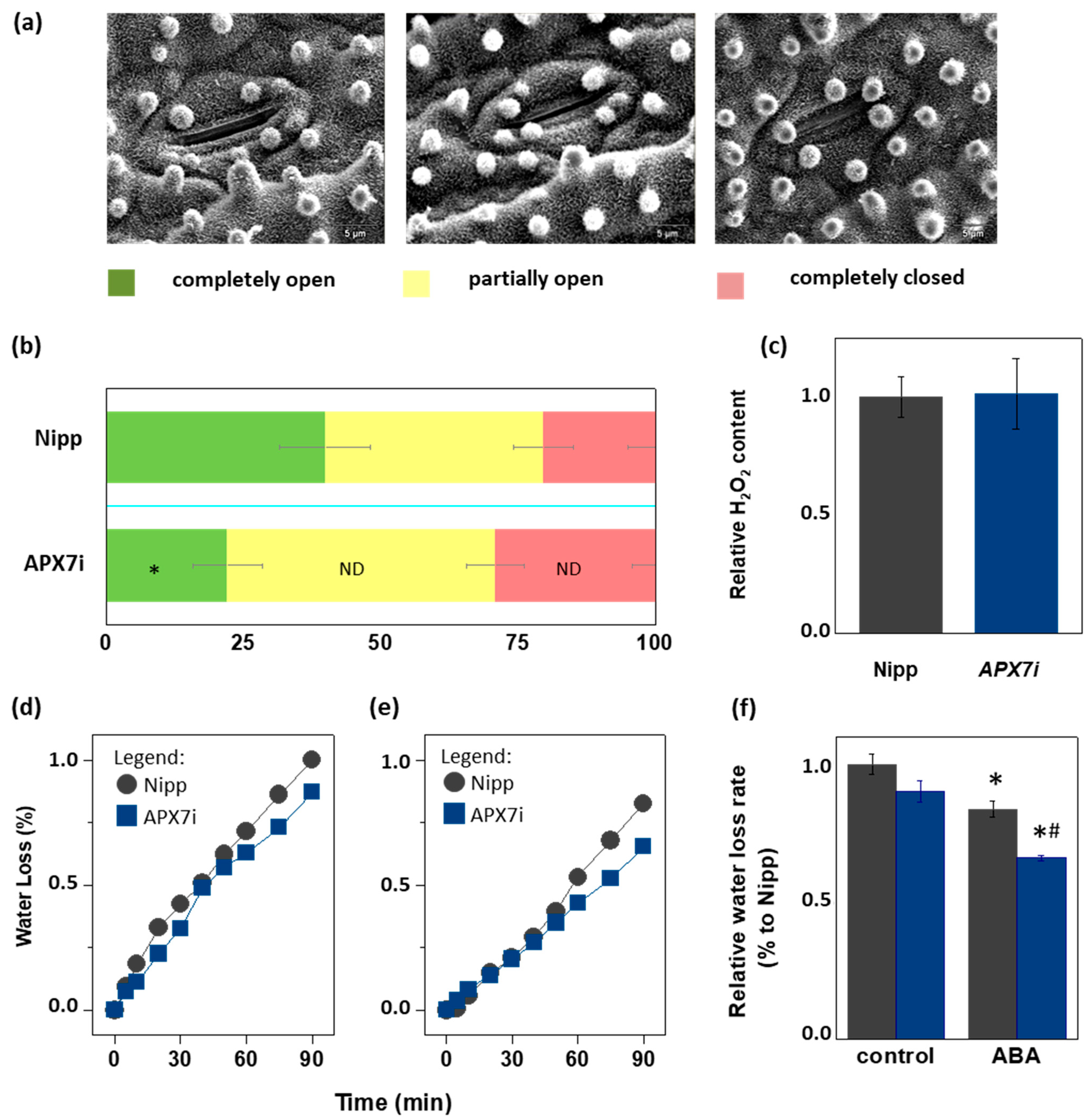 Antioxidants 12 00387 g007