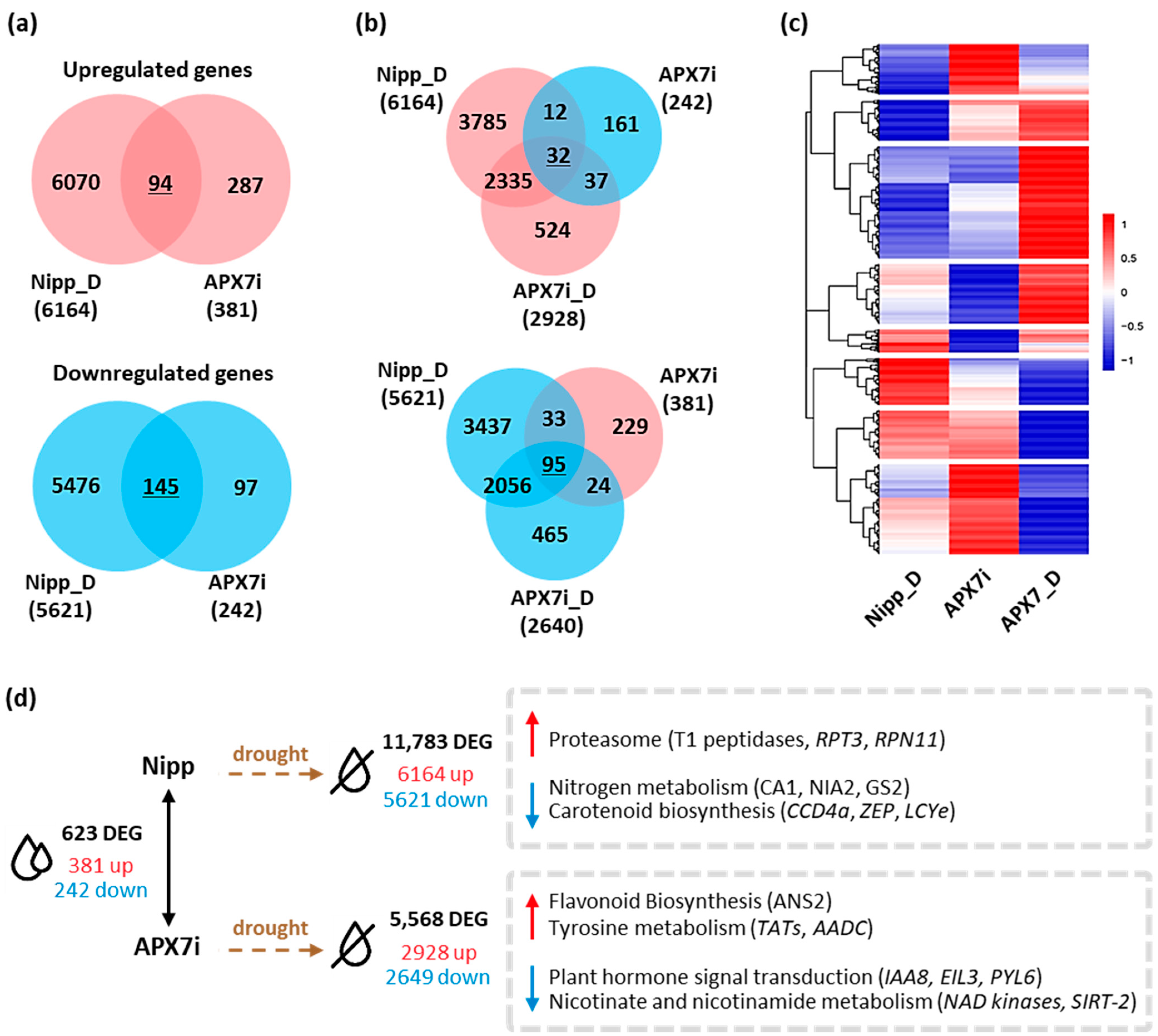 Antioxidants 12 00387 g009