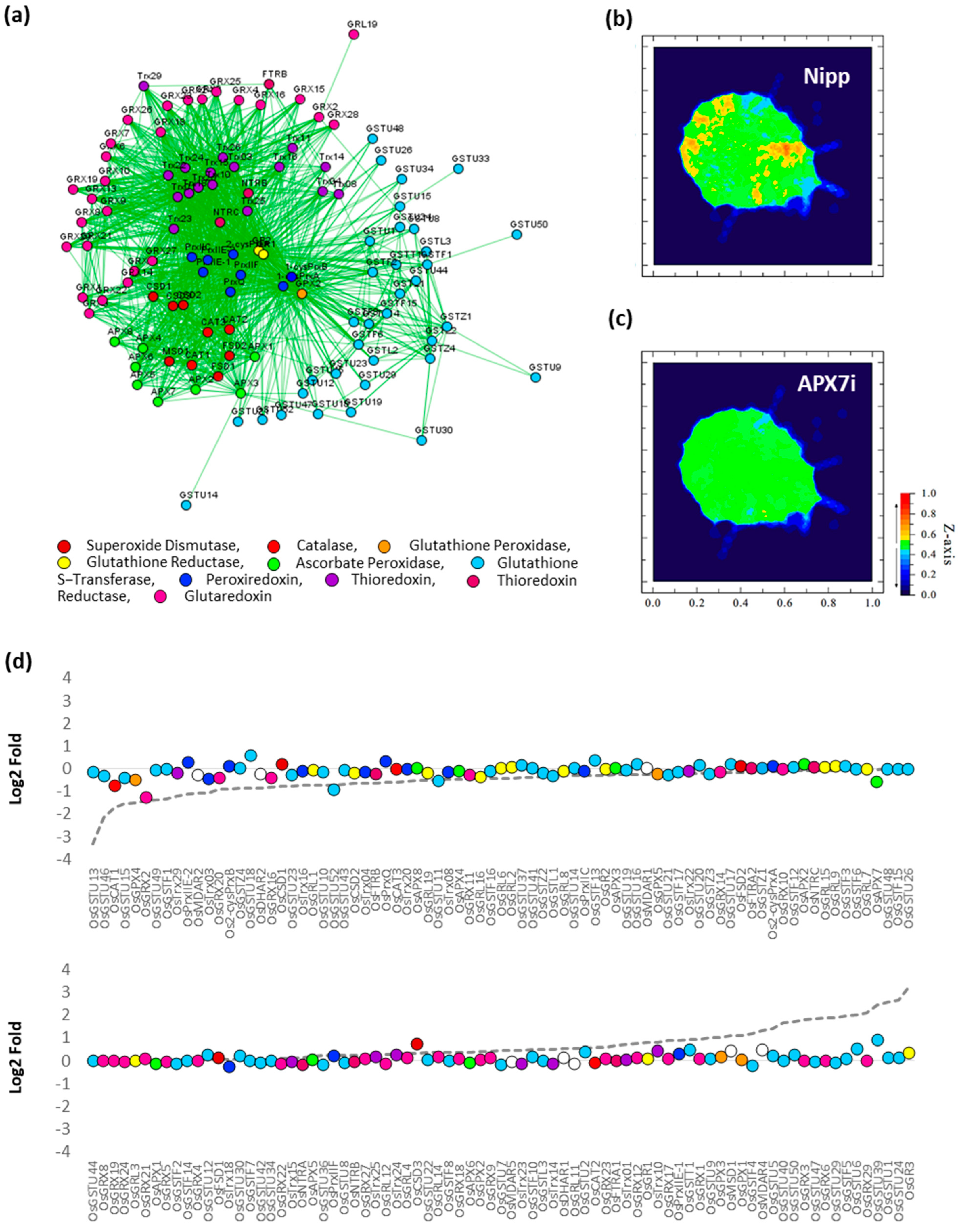Antioxidants 12 00387 g010