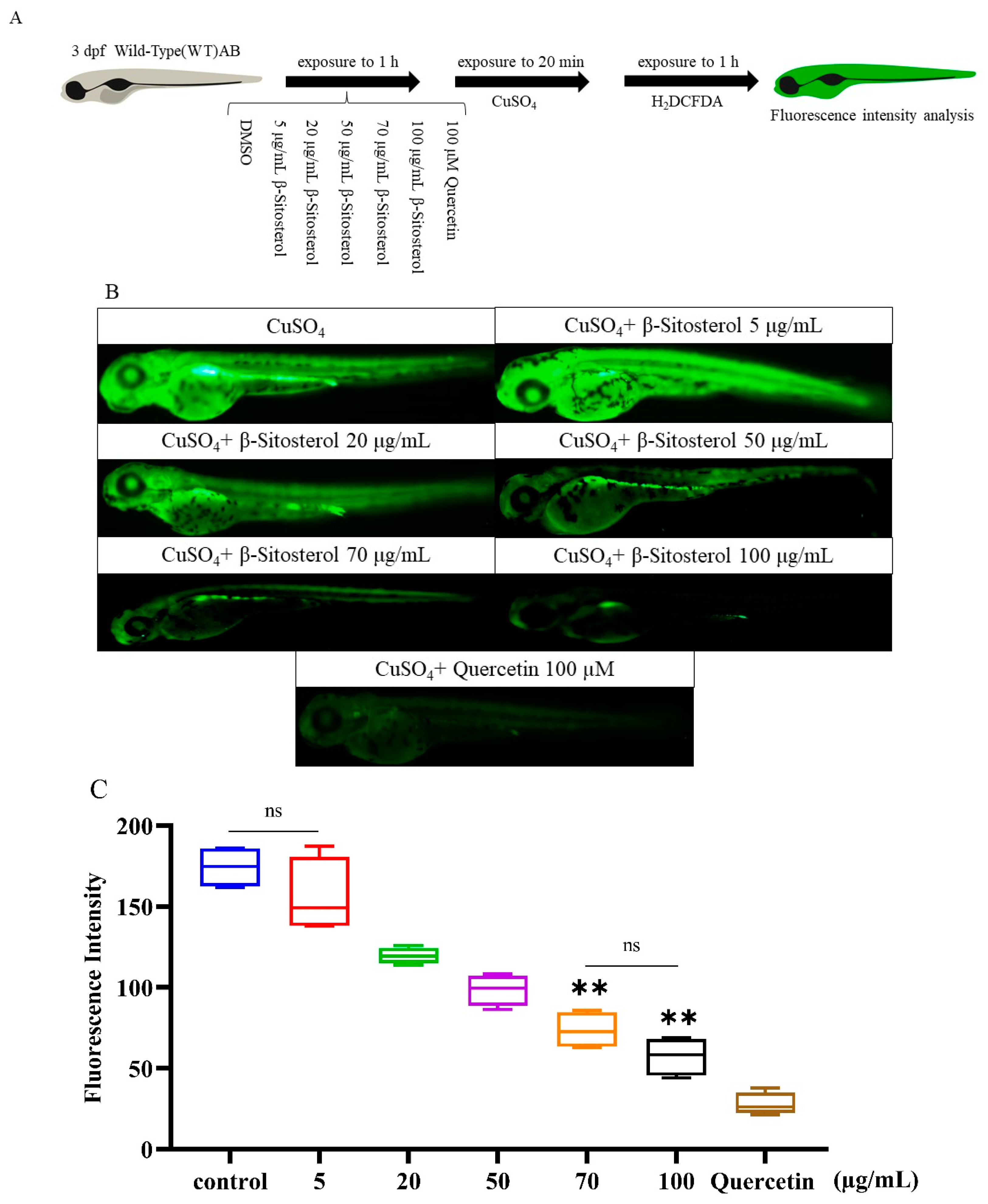 Antioxidants 12 00391 g003