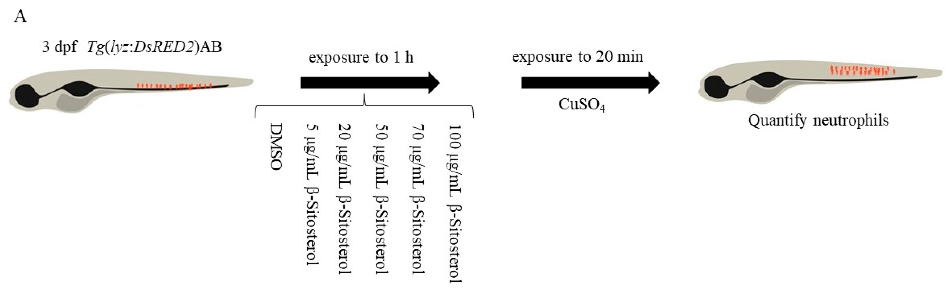 Antioxidants 12 00391 g005a
