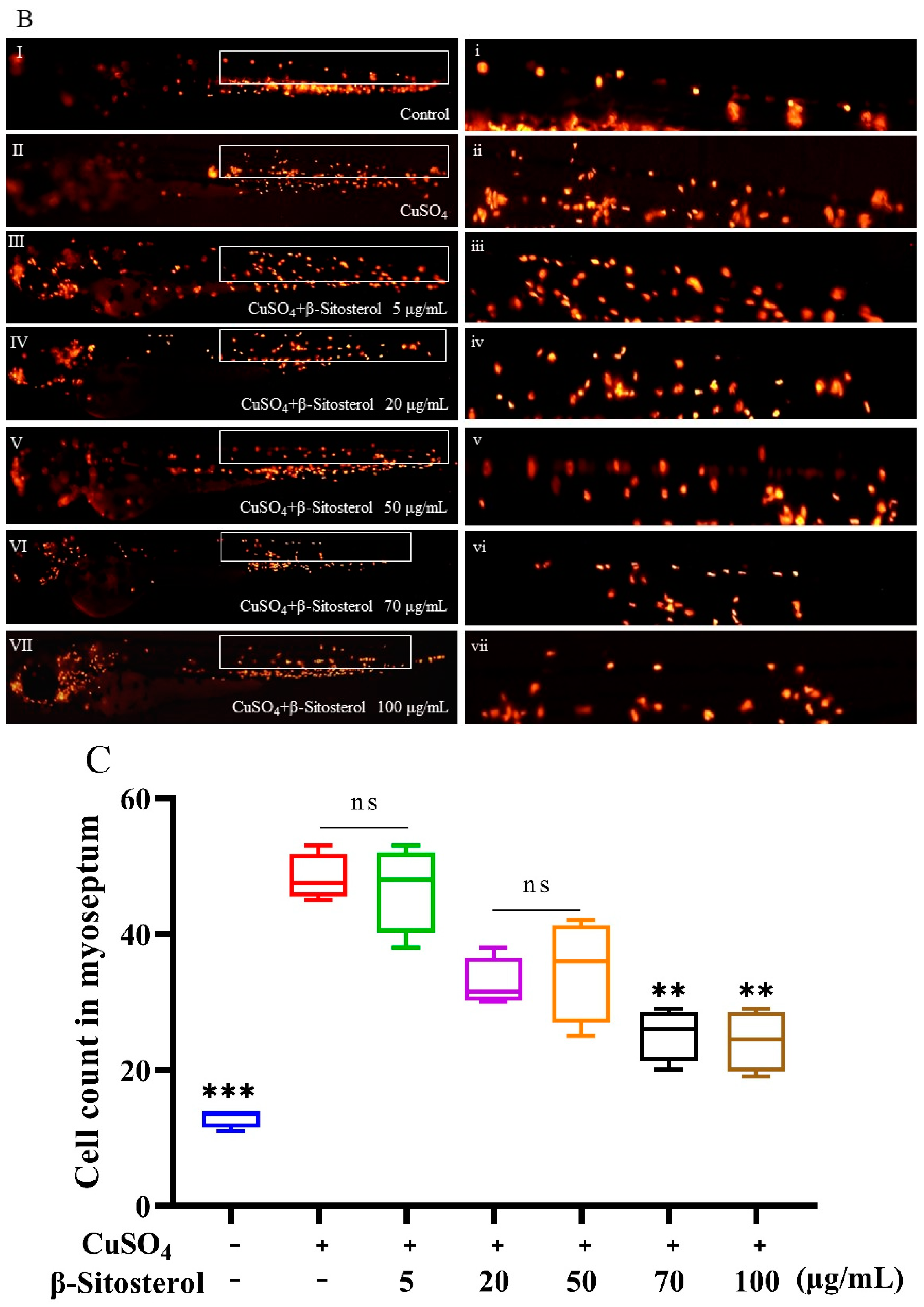 Antioxidants 12 00391 g005b