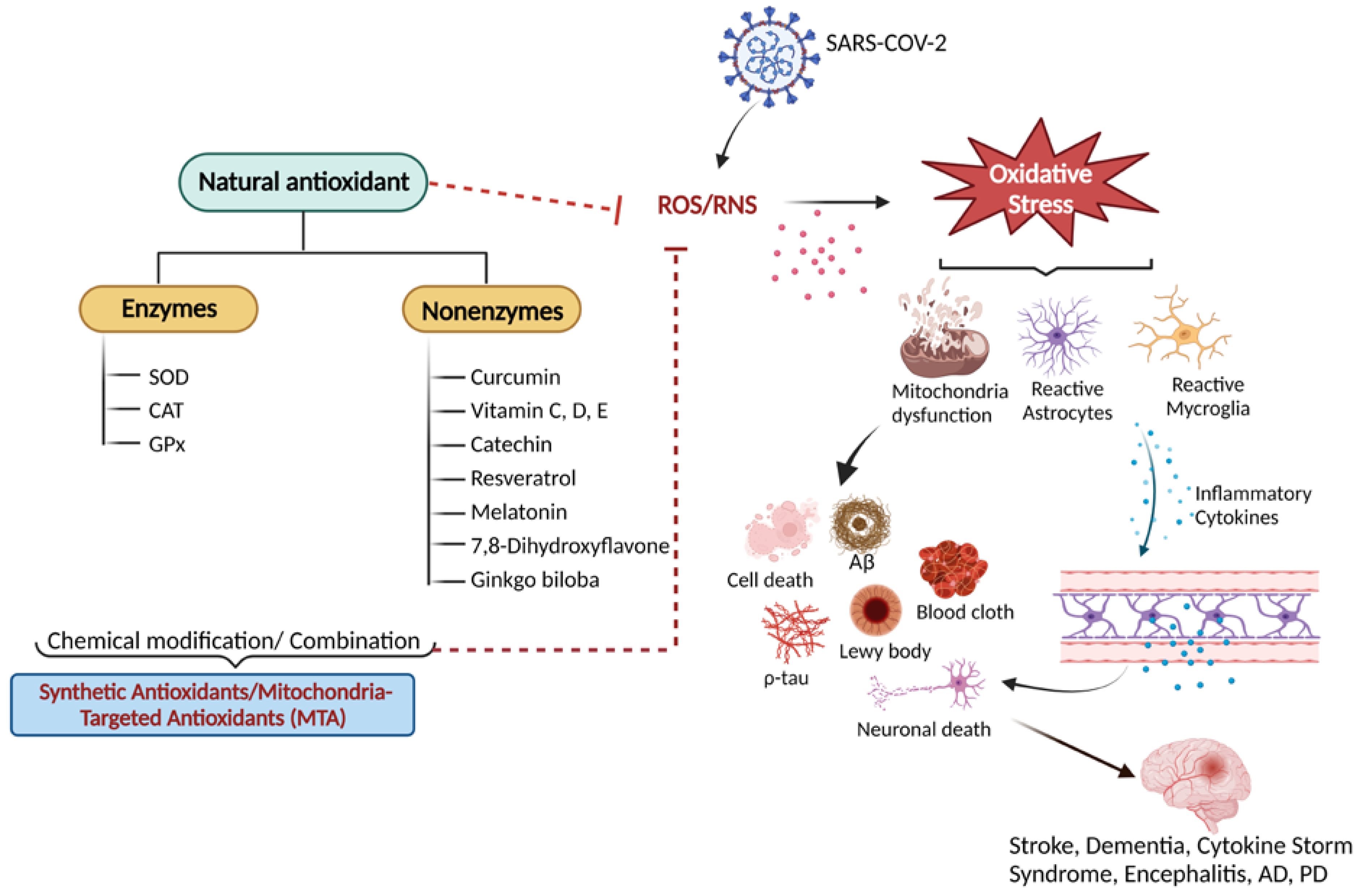 Antioxidants 12 00393 g001