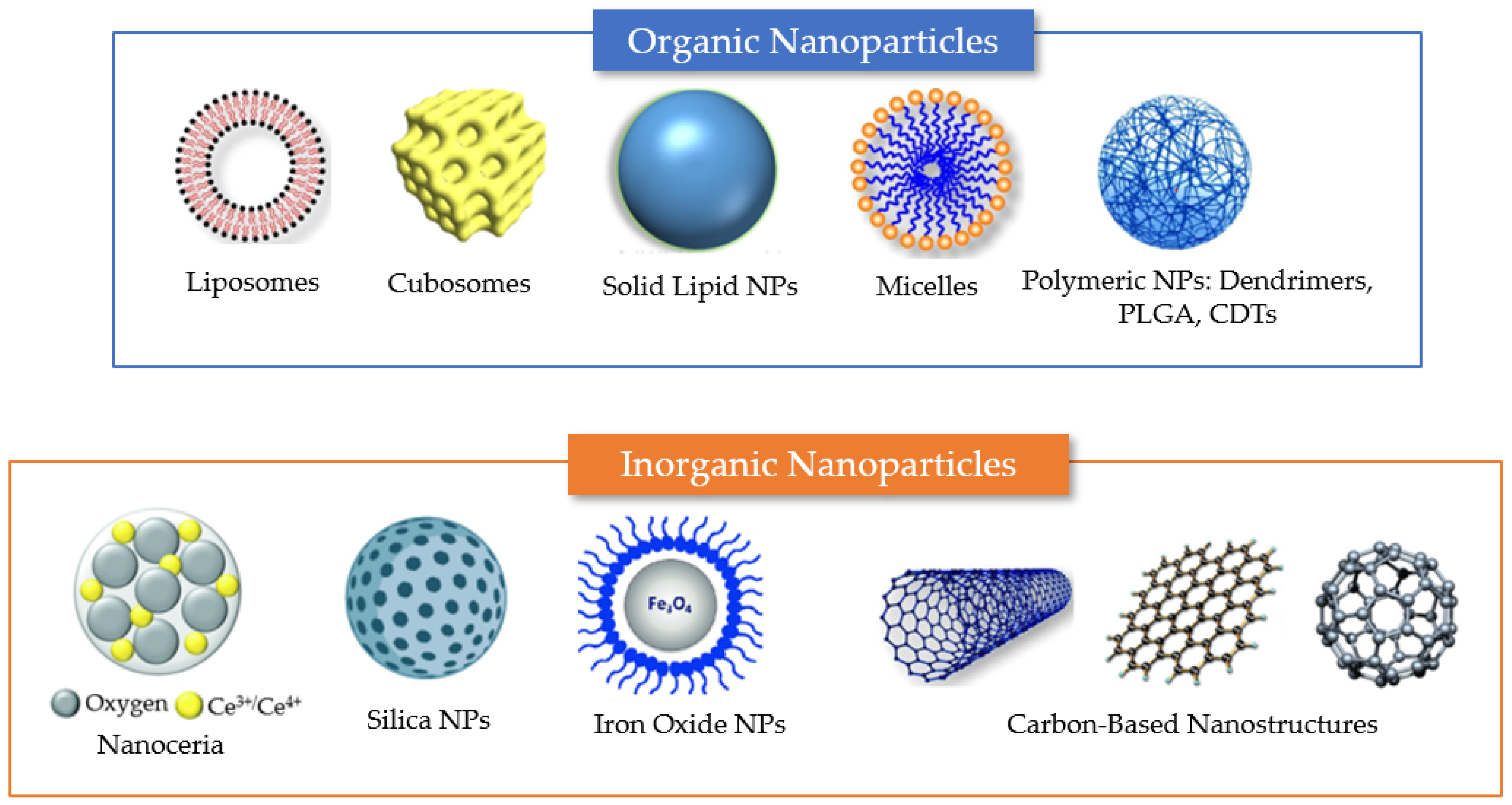 Antioxidants 12 00393 g004