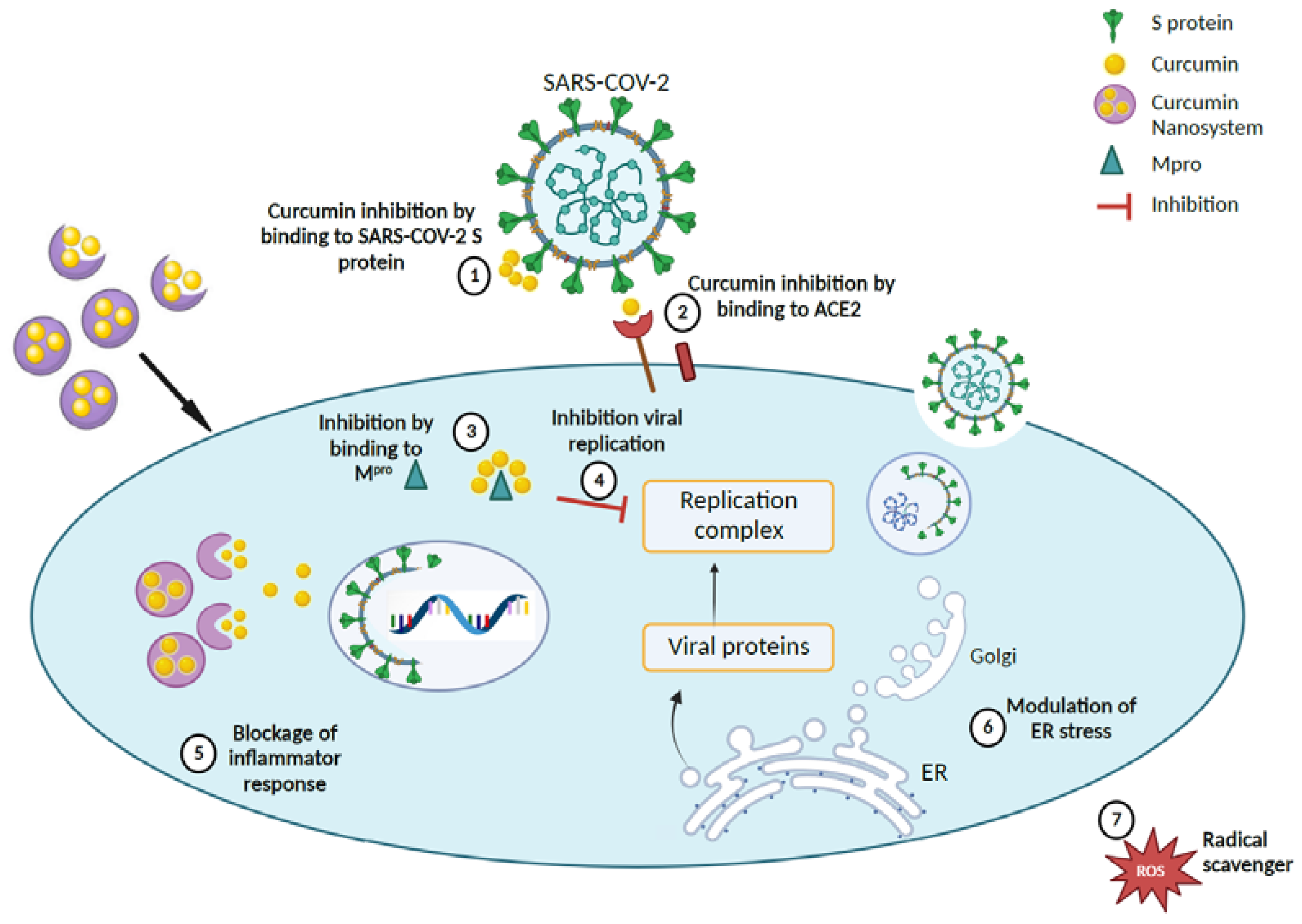 Antioxidants 12 00393 g005
