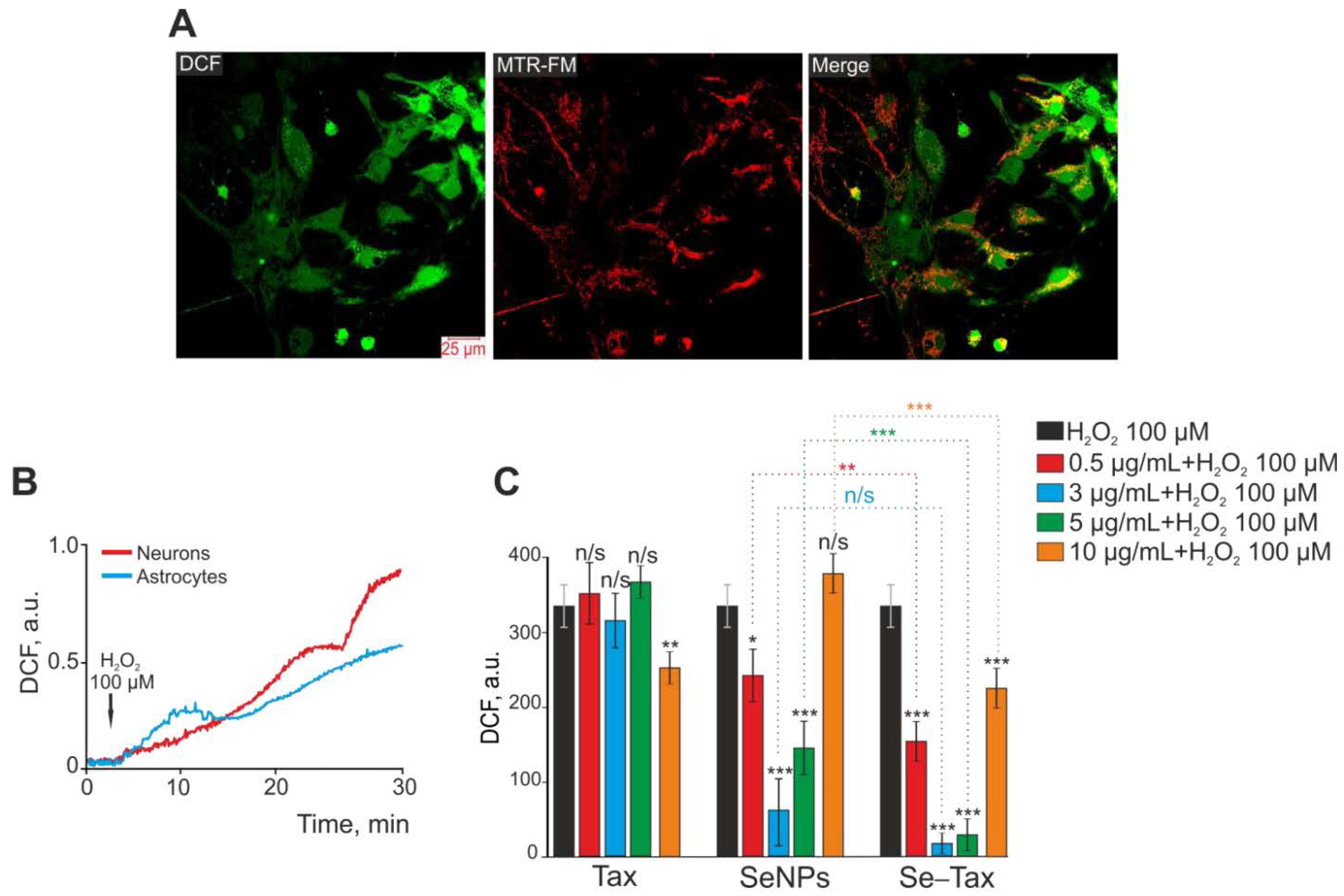 Antioxidants 12 00393 g008