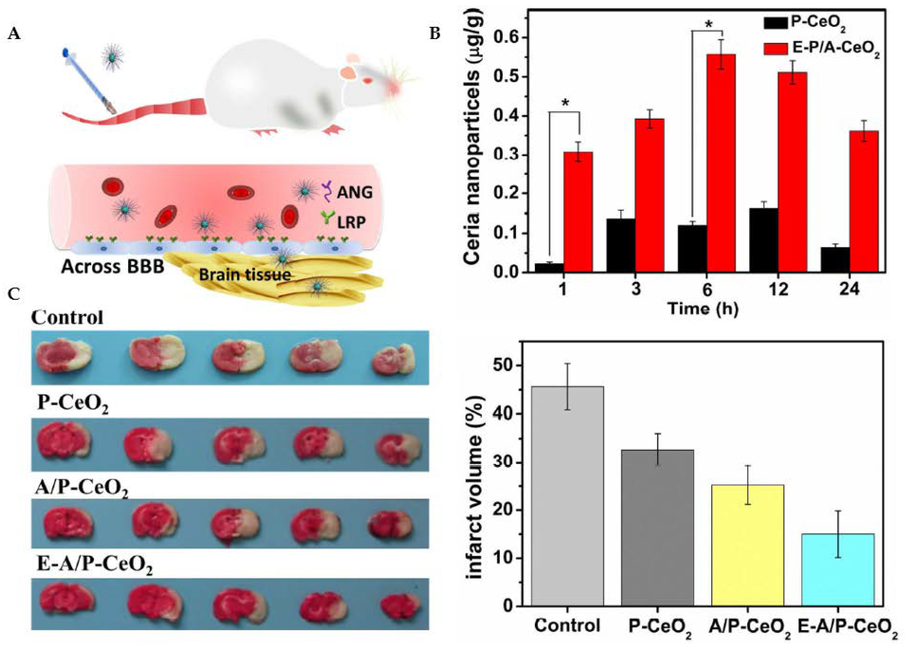Antioxidants 12 00393 g009