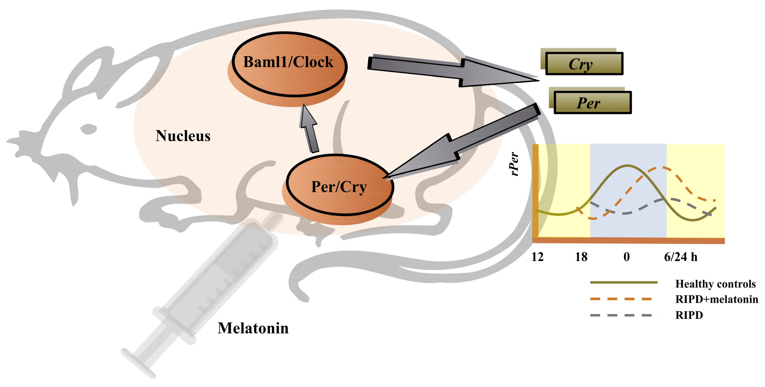 Antioxidants 12 00396 g002