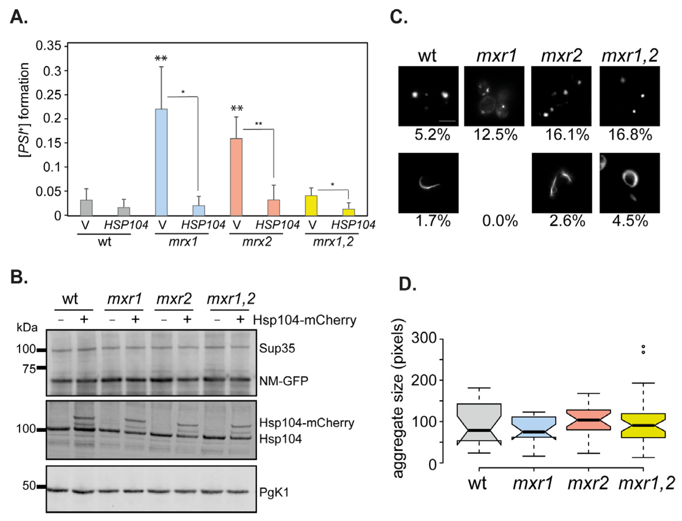 Antioxidants 12 00401 g006 Antioxidants 12 00401 g006