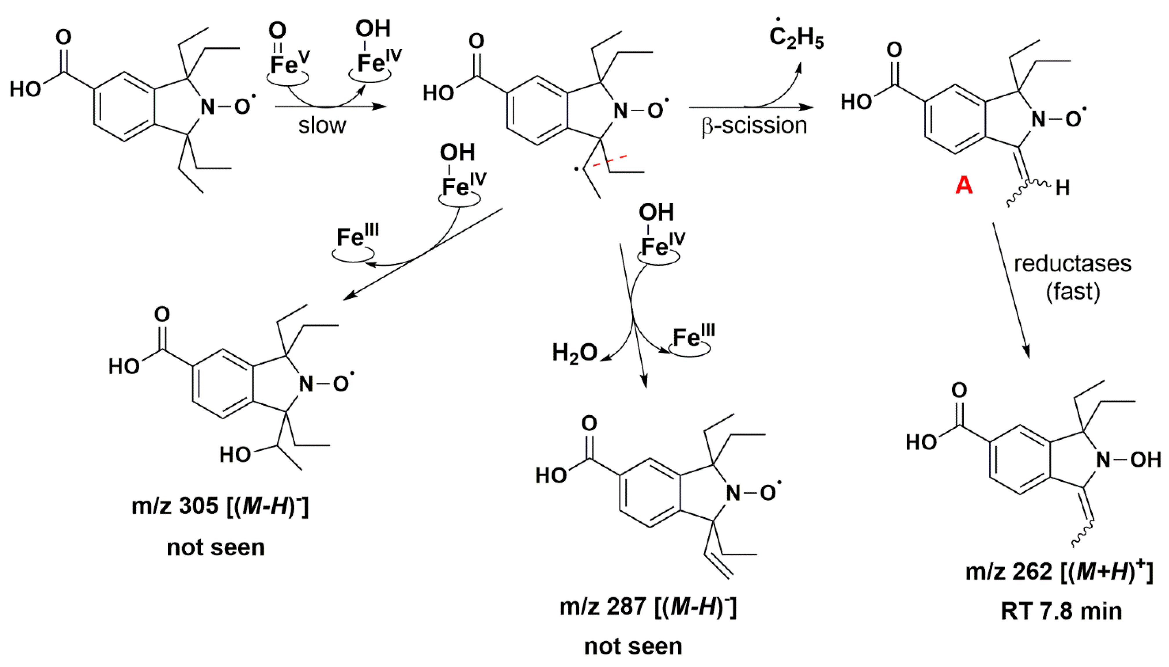 Antioxidants 12 00402 g008