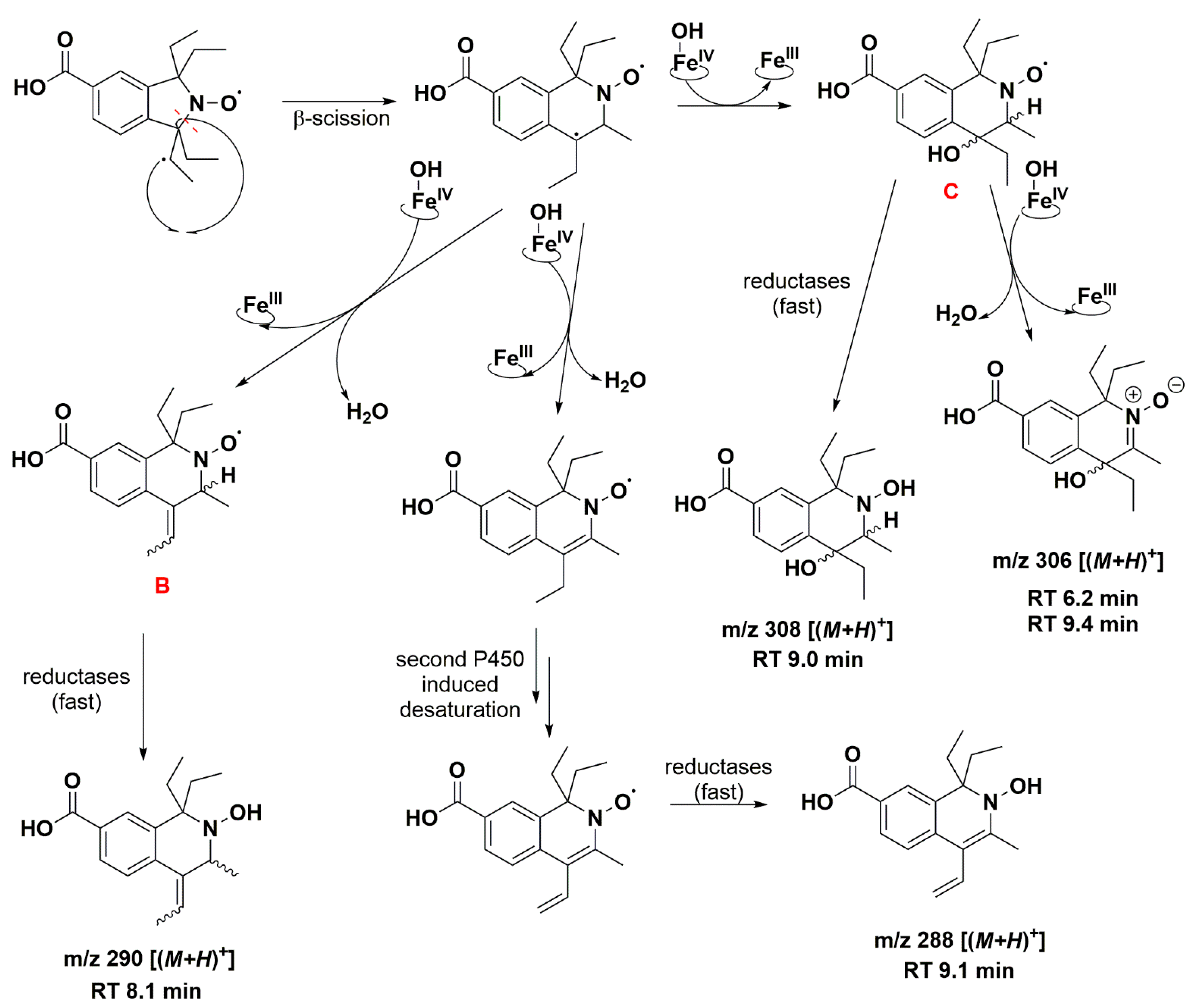 Antioxidants 12 00402 g009